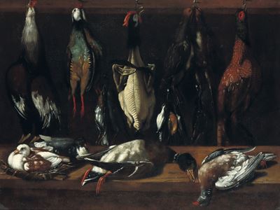 Dispensa con pollame e piccioni, olio su tela