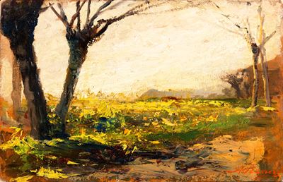 Campagna Soleggiata