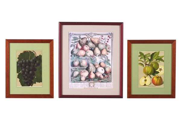 Tre incisioni raffiguranti frutti. Inghilterra, XIX-XX secolo