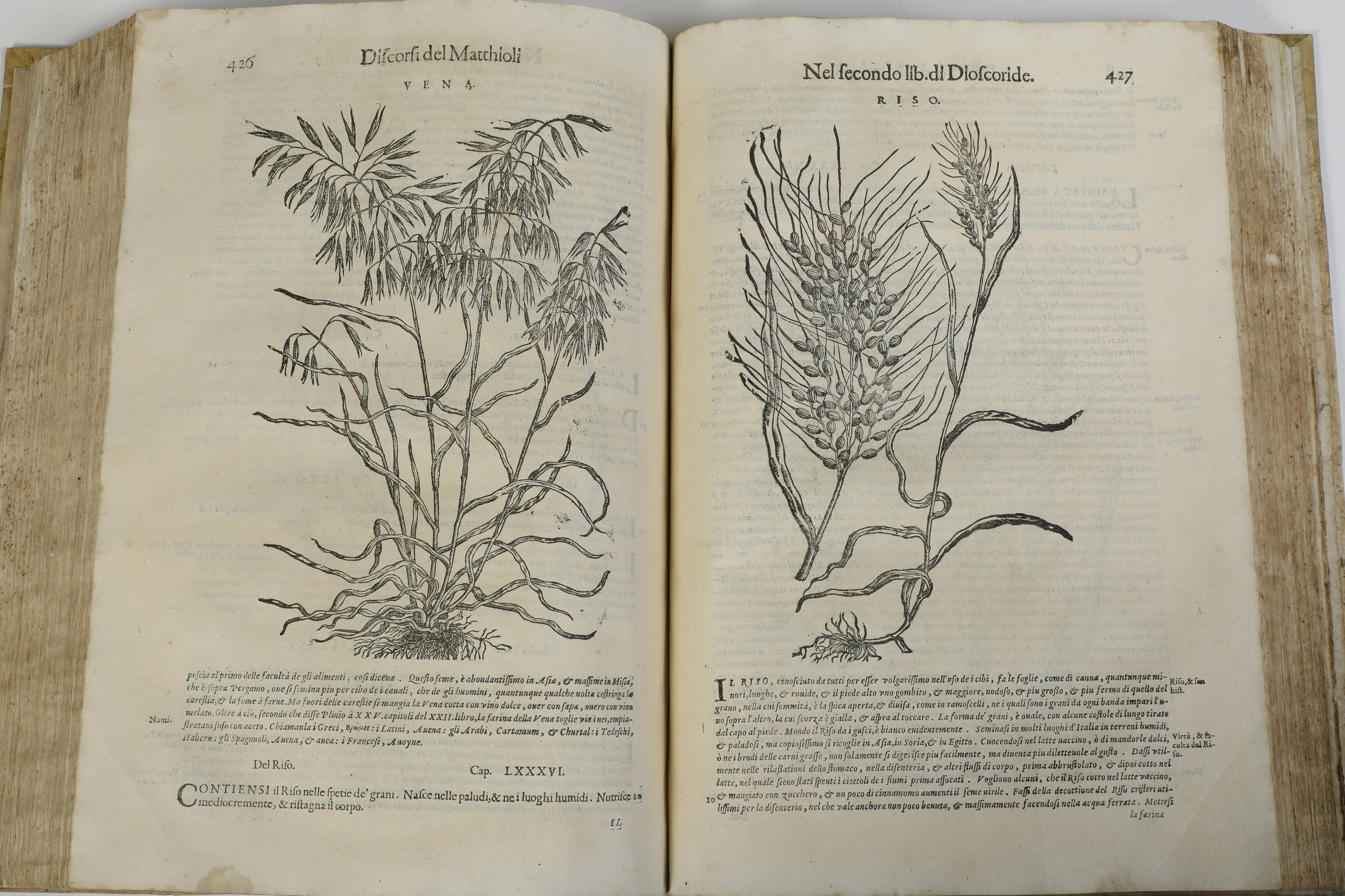 Mattioli Andrea i Discorsi...nelli Vi Libri di Pedacio Dioscoride Anazarbeo, nella Materia Medici...