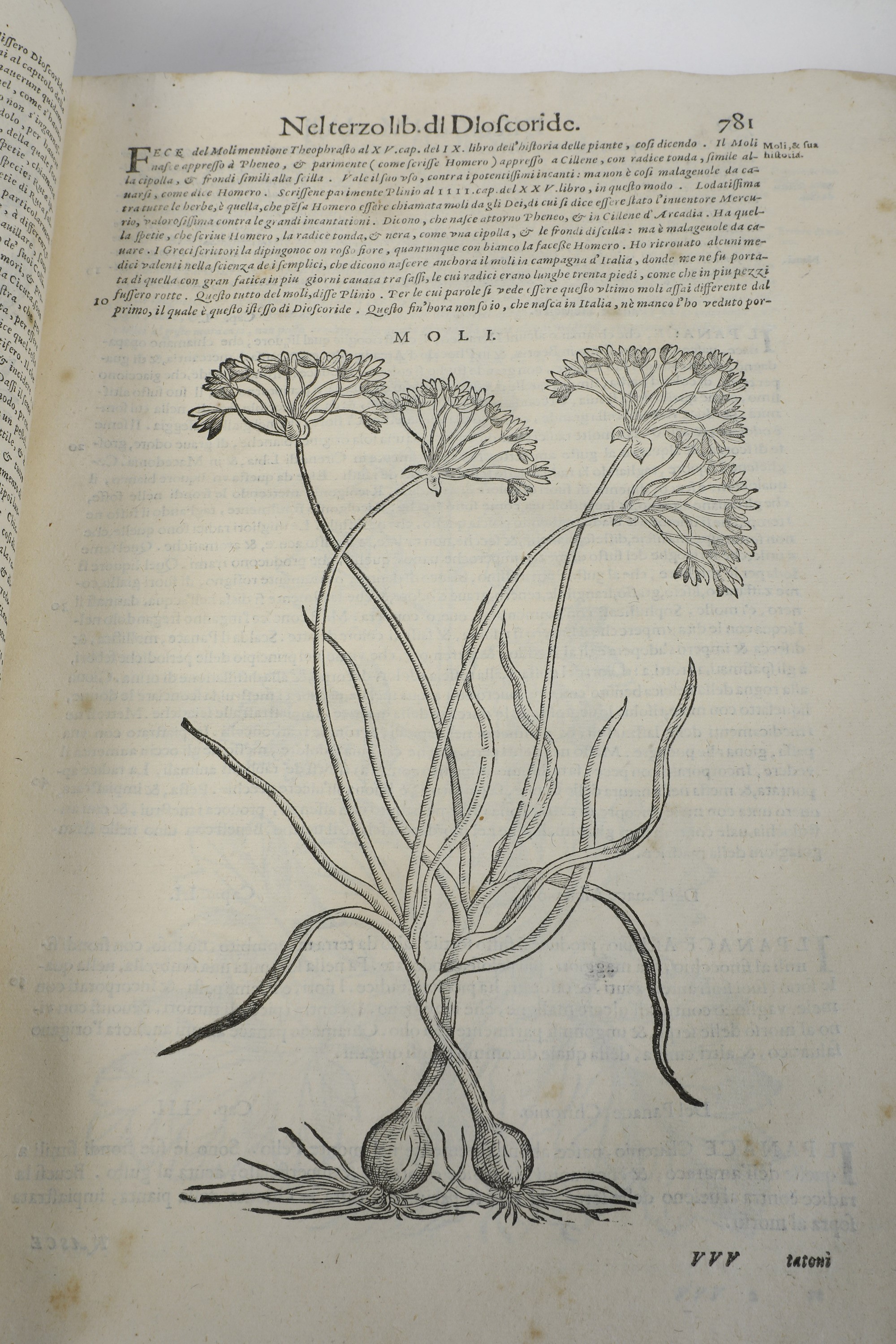 Mattioli Andrea i Discorsi...nelli Vi Libri di Pedacio Dioscoride Anazarbeo, nella Materia Medici...