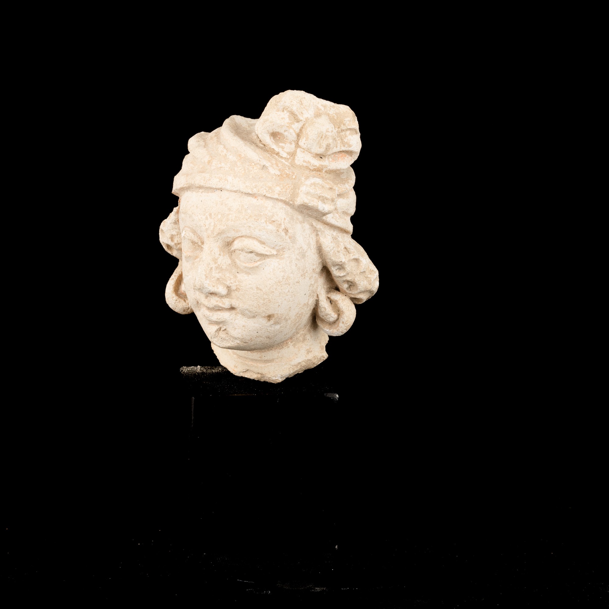 Testa di Bodhissattva in Stucco, Gandhara, Afganistan, III Secolo