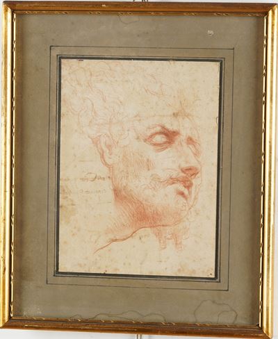 Scuola fiorentina del XVII secolo, Testa virile, matita rossa su carta