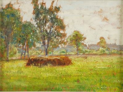 Radura con Alberi