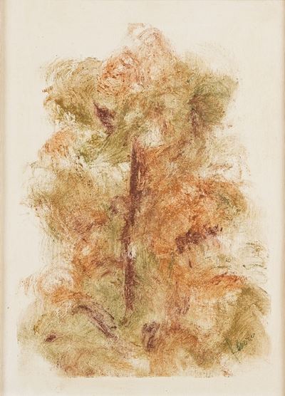 F. Boero L’albero della Vita