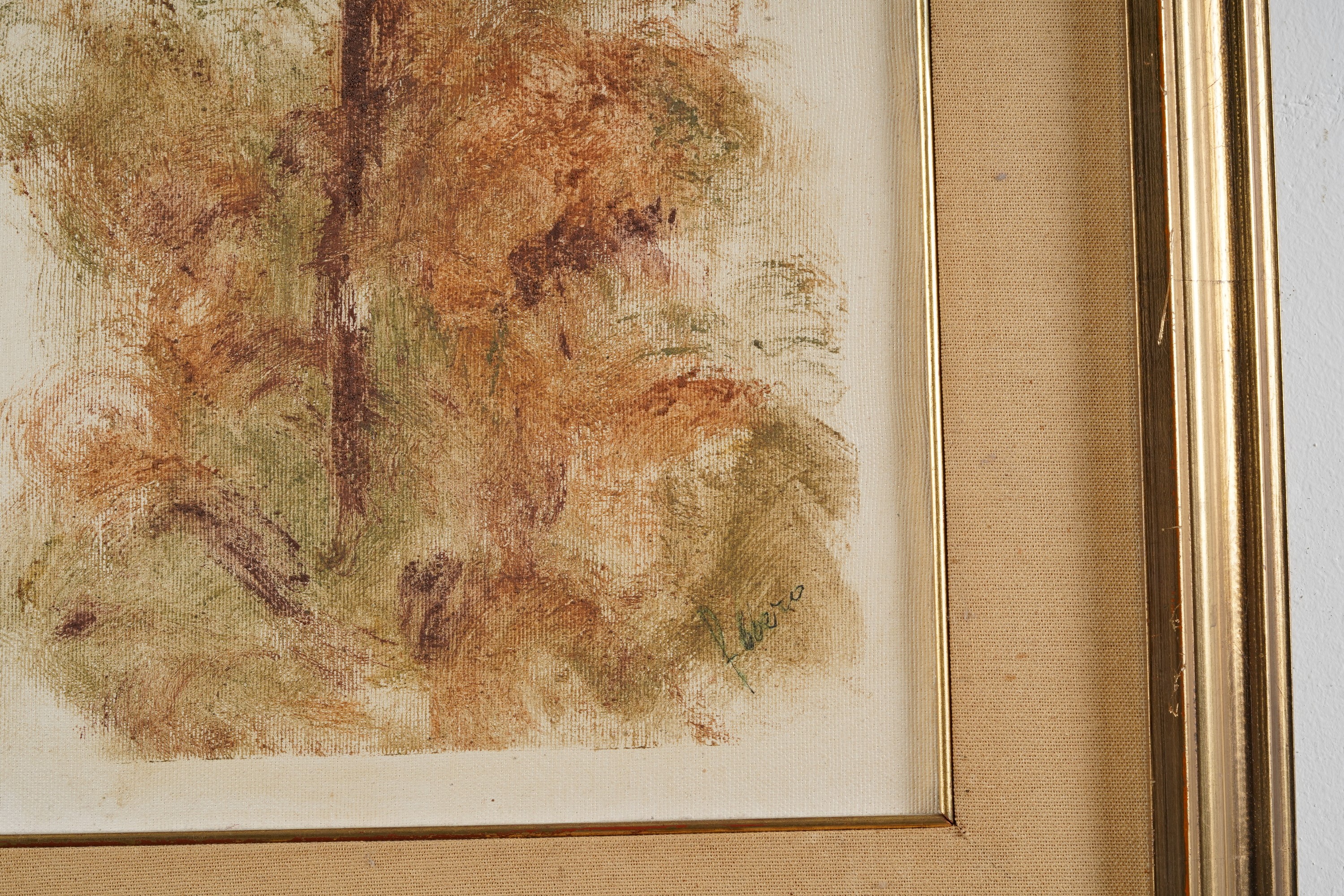 F. Boero L’albero della Vita