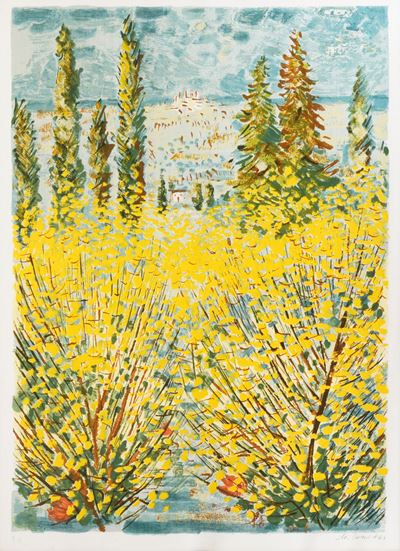 Fiori a Cortona