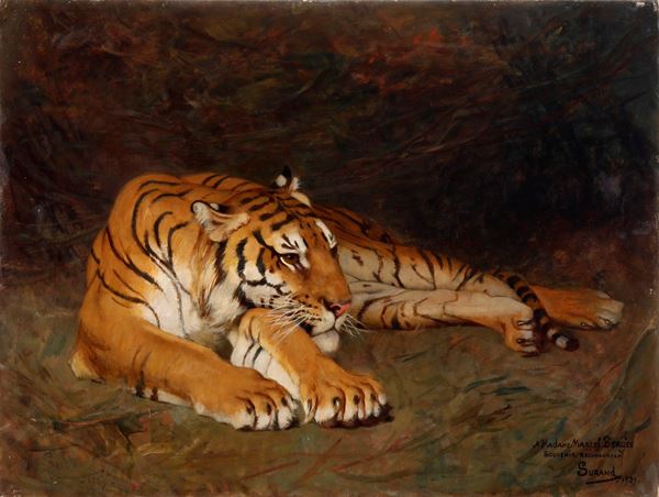 Tigre a riposo, 1929