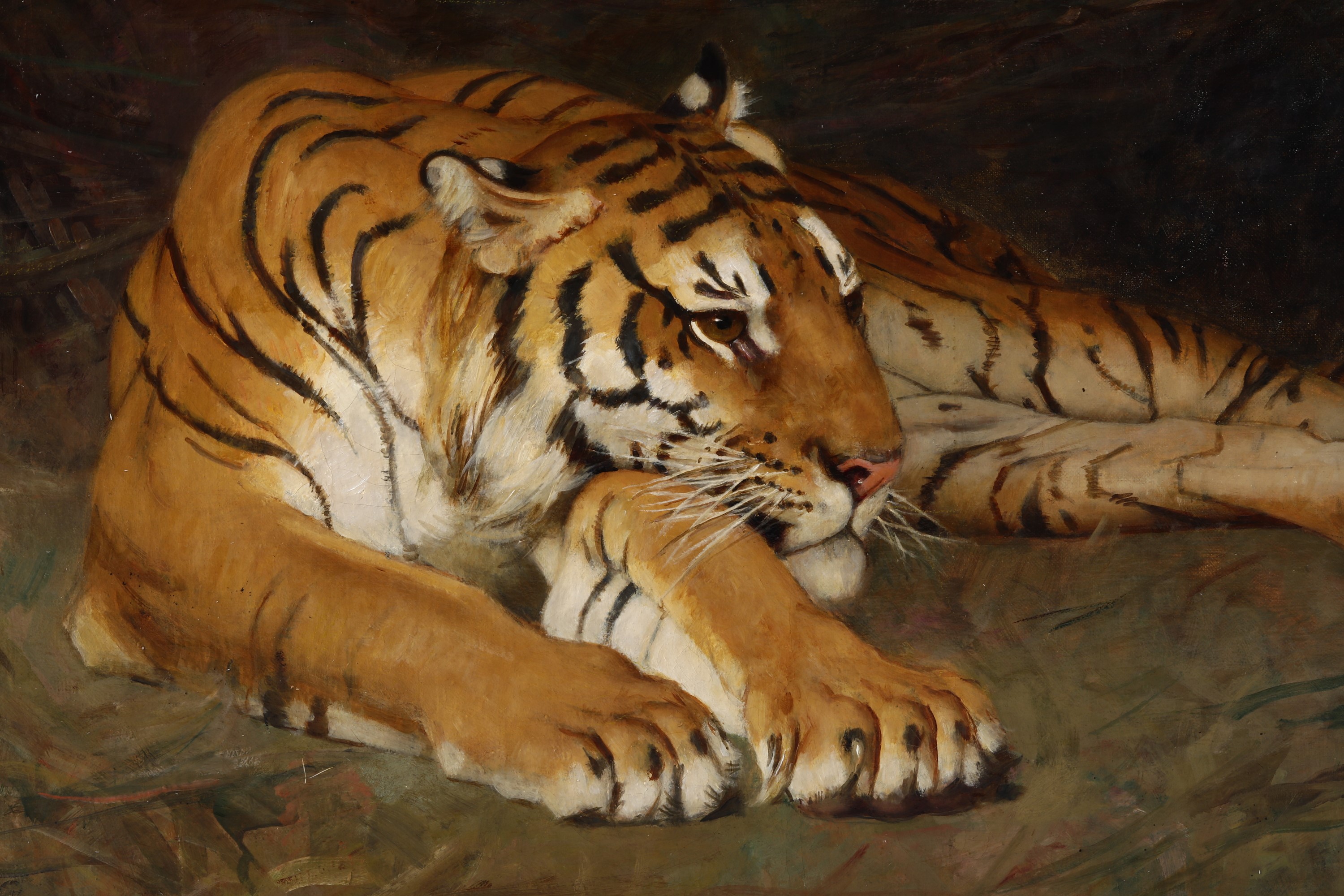 Gustave Surand - Tigre a Riposo, 1929
