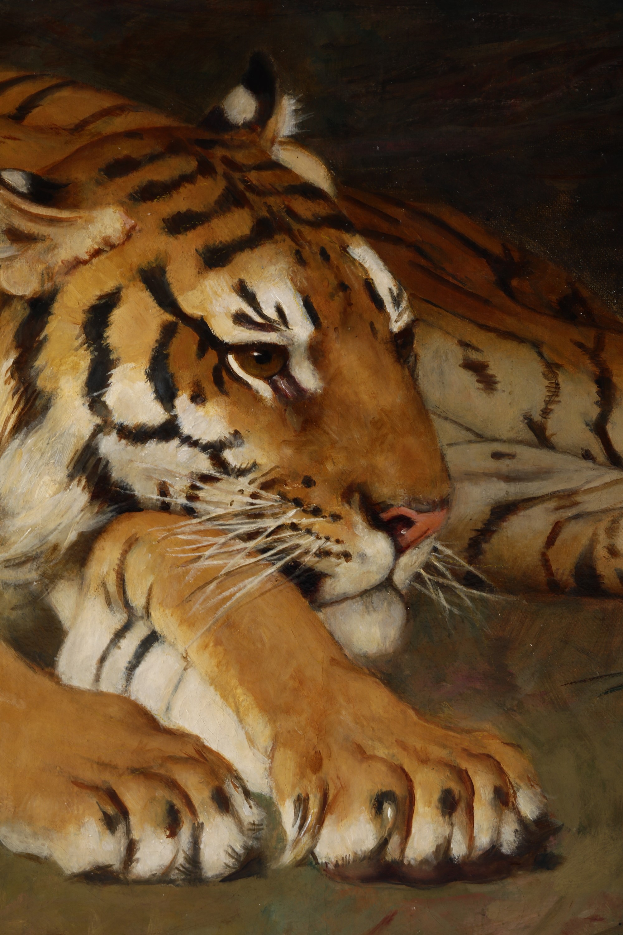 Gustave Surand - Tigre a Riposo, 1929