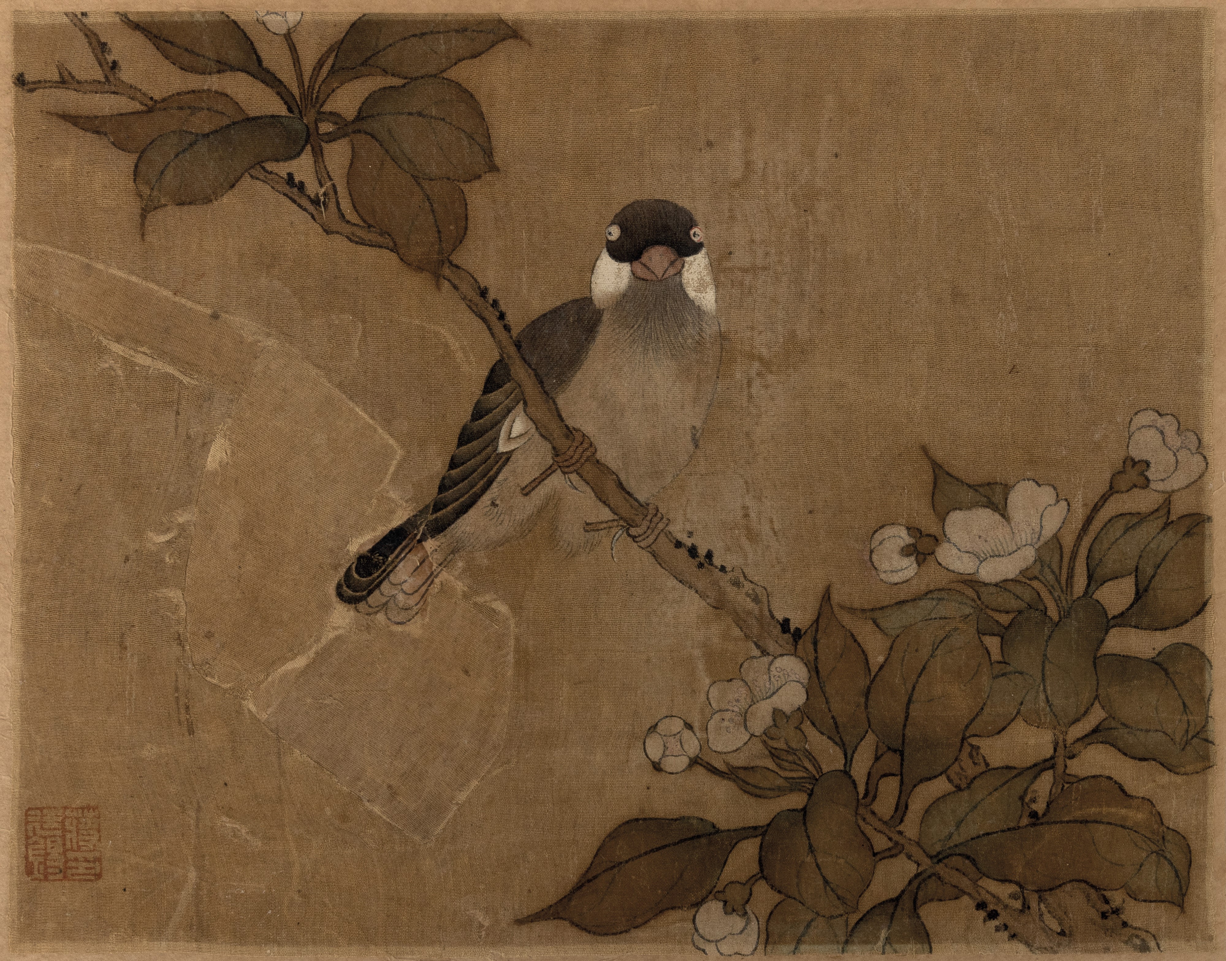 Album con Inscrizione "jiang Tingxi - il Libro a Colori di Fiori ed Uccelli" Contenente 12 Temper...