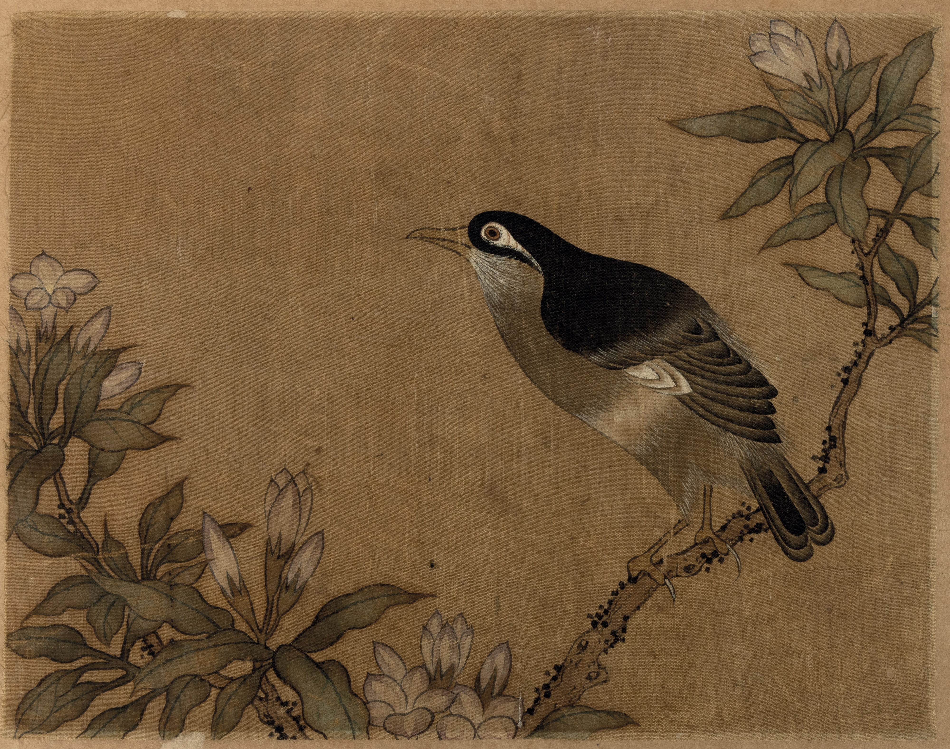 Album con Inscrizione "jiang Tingxi - il Libro a Colori di Fiori ed Uccelli" Contenente 12 Temper...