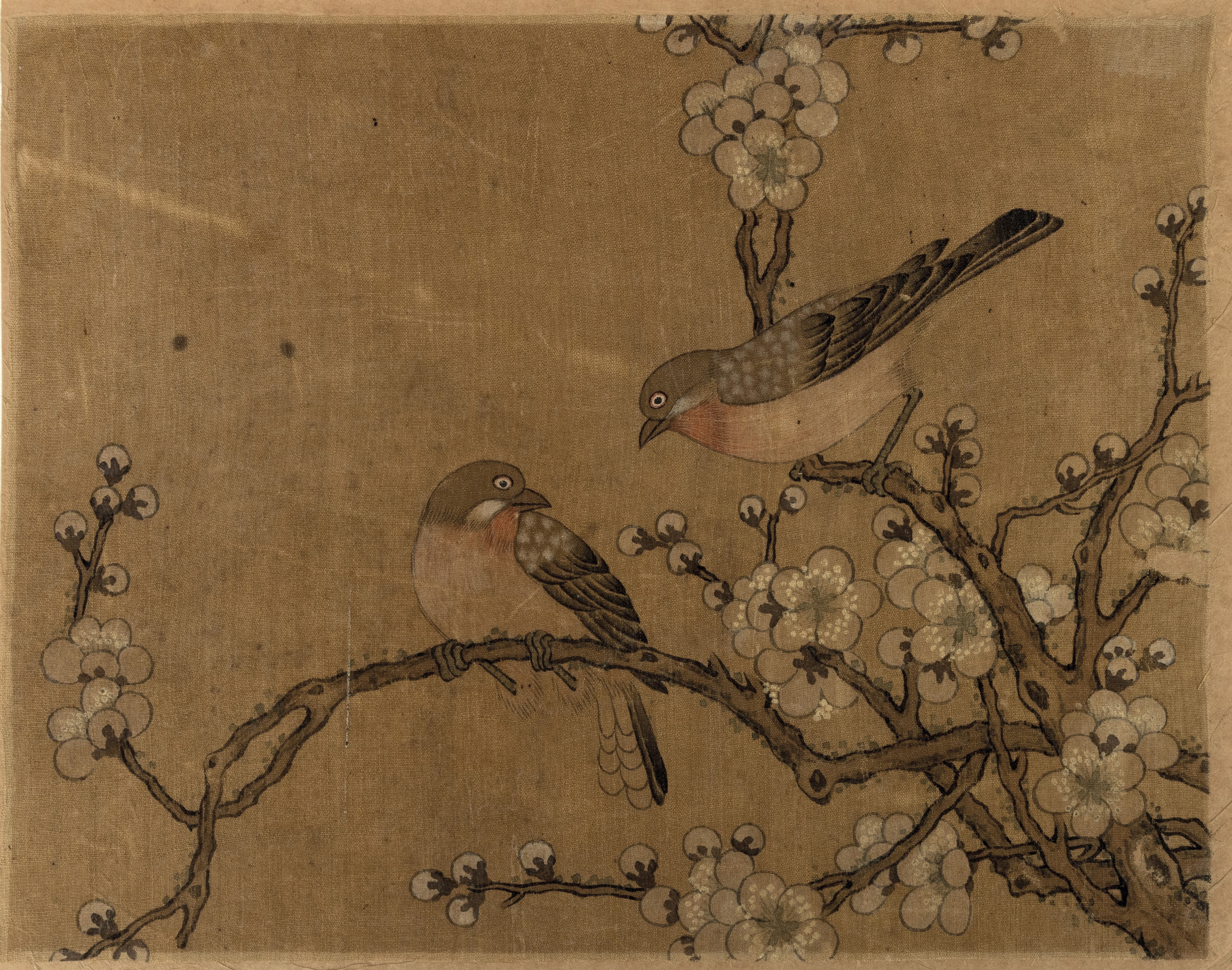 Album con Inscrizione "jiang Tingxi - il Libro a Colori di Fiori ed Uccelli" Contenente 12 Temper...