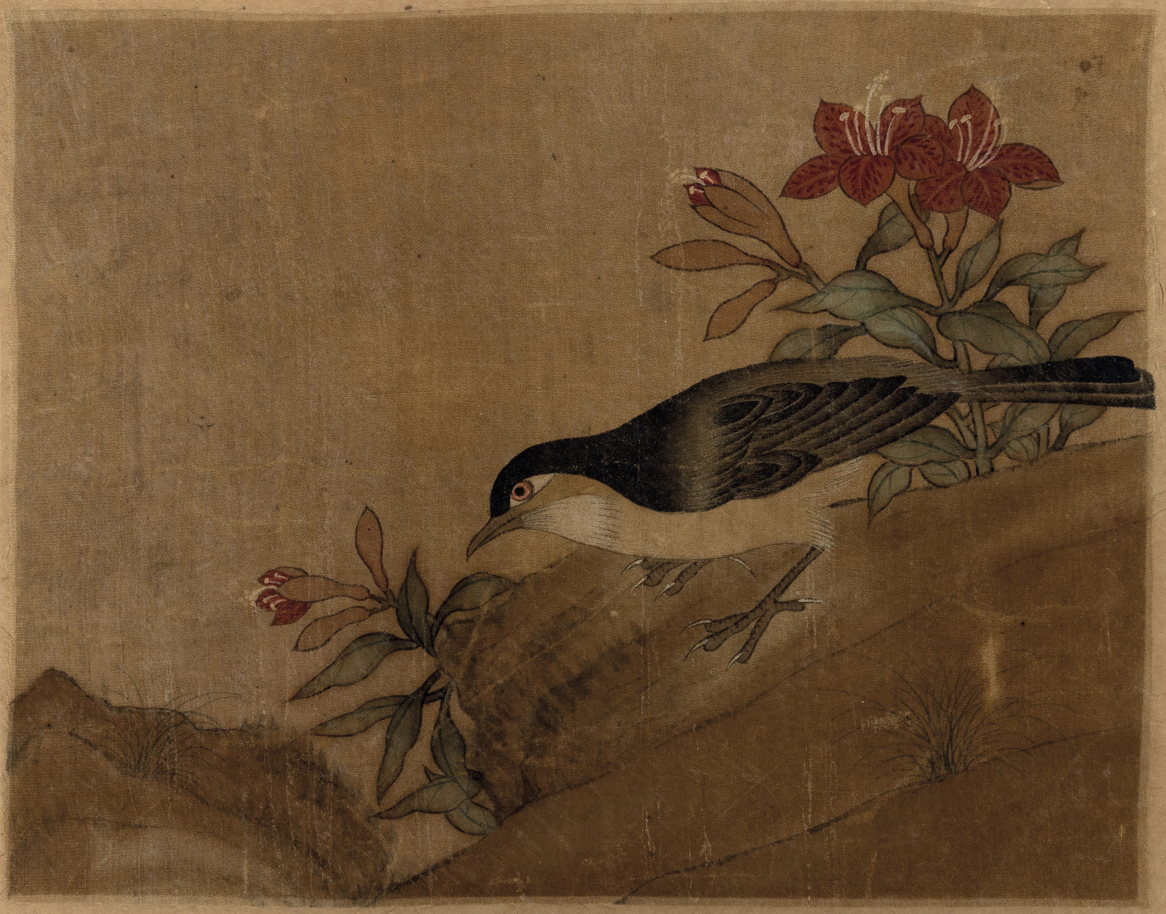 Album con Inscrizione "jiang Tingxi - il Libro a Colori di Fiori ed Uccelli" Contenente 12 Temper...