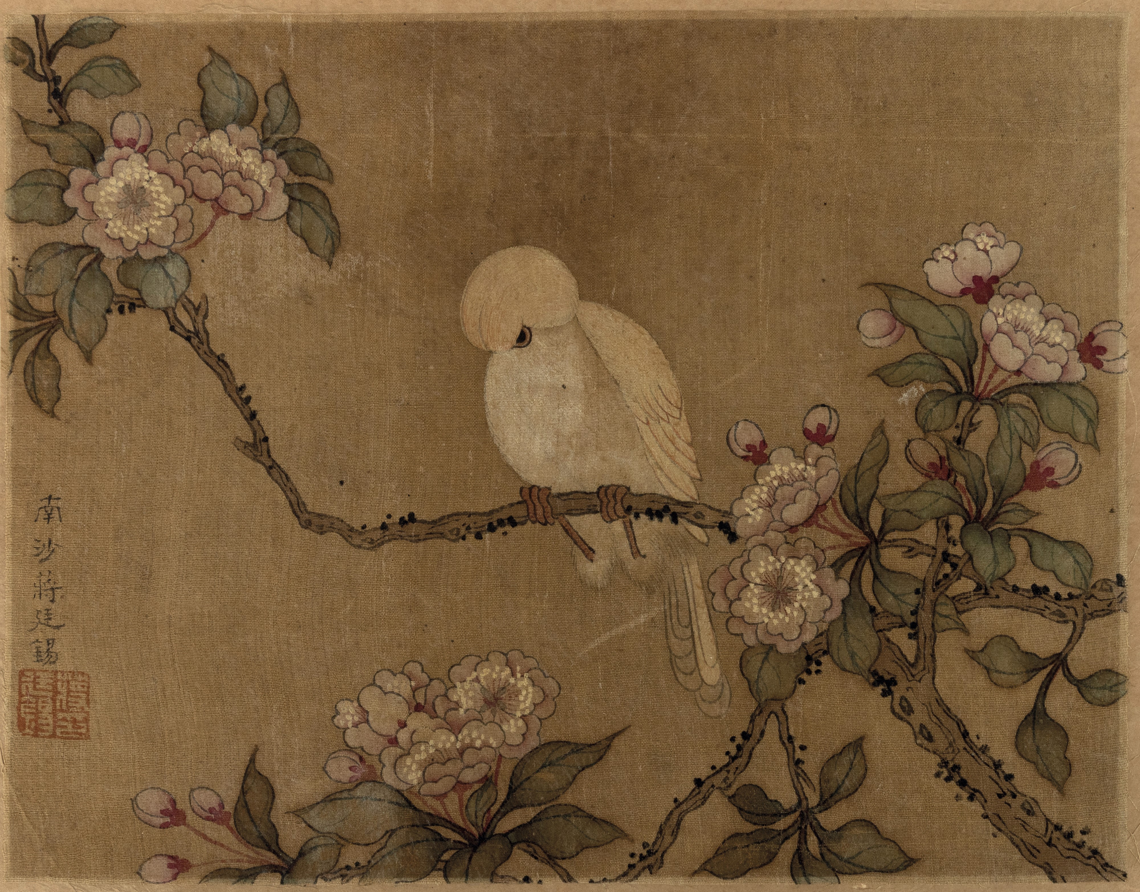 Album con Inscrizione "jiang Tingxi - il Libro a Colori di Fiori ed Uccelli" Contenente 12 Temper...