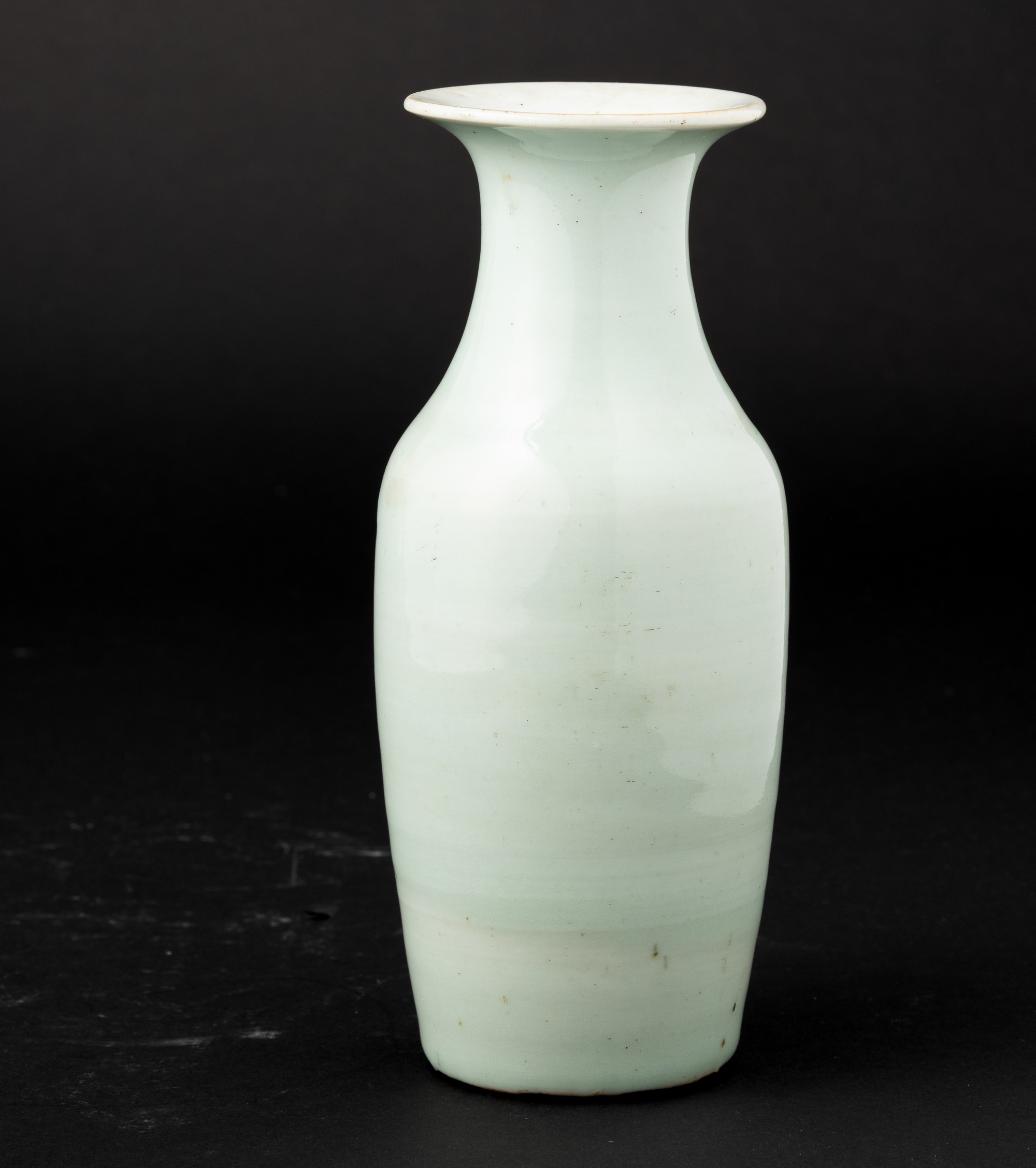 Vaso in porcellana Celadon con decoro naturalistico in blu cobalto, Cina, Dinastia Qing, XIX seco...