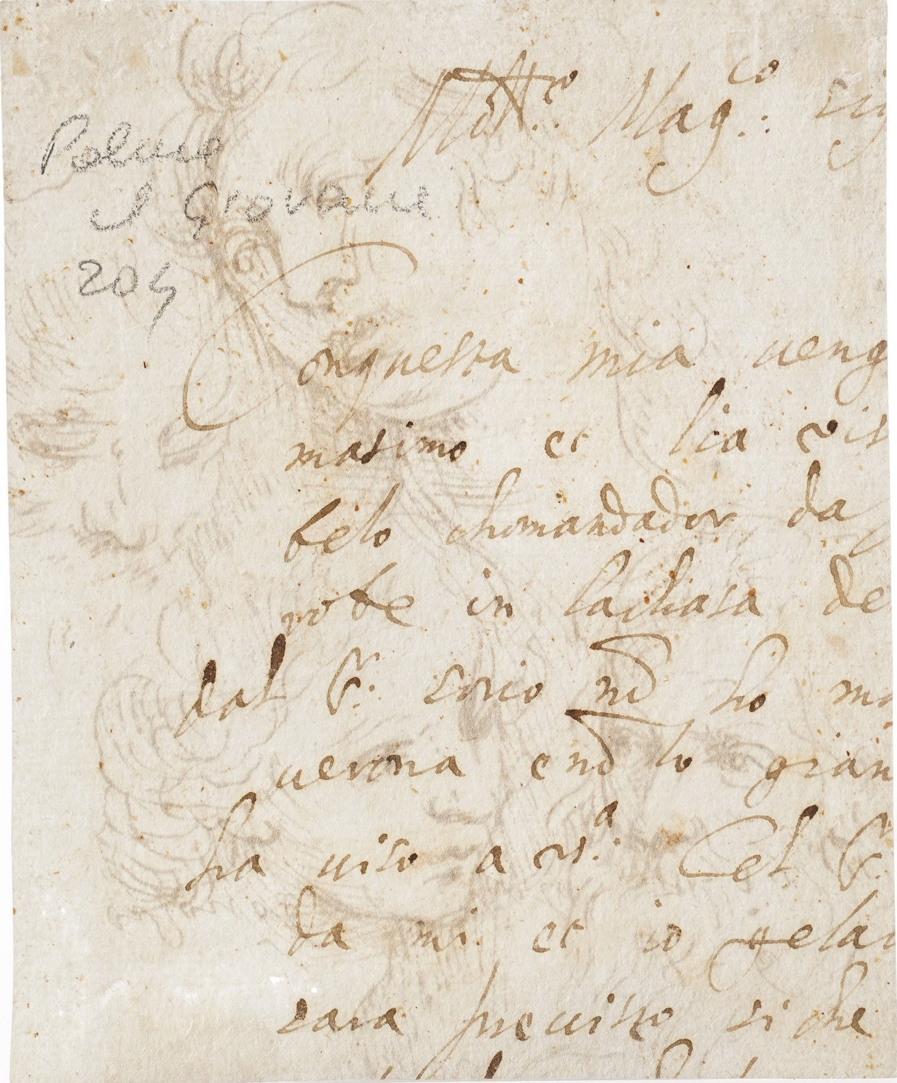 Jacopo Negretti Detto Palma il Giovane - Studio di quattro teste, penna e inchiostro bruno su car...