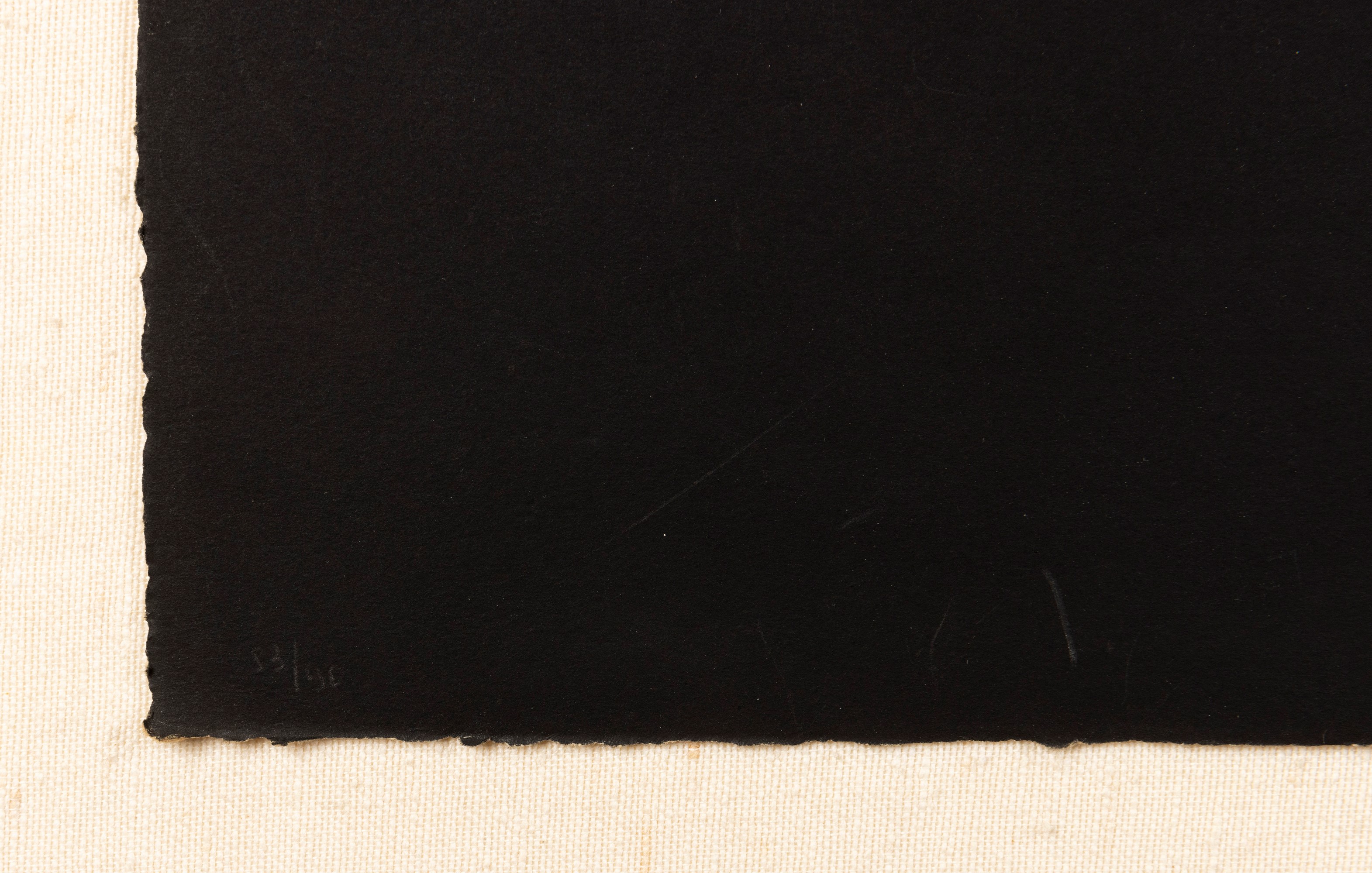Alberto Burri - Cretto Nero F