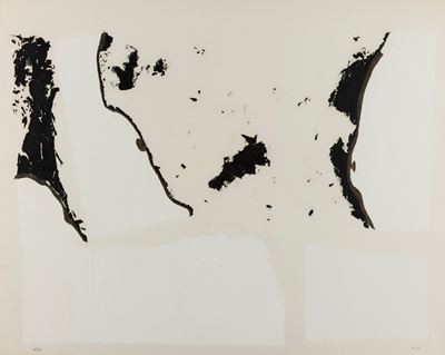 Combustione