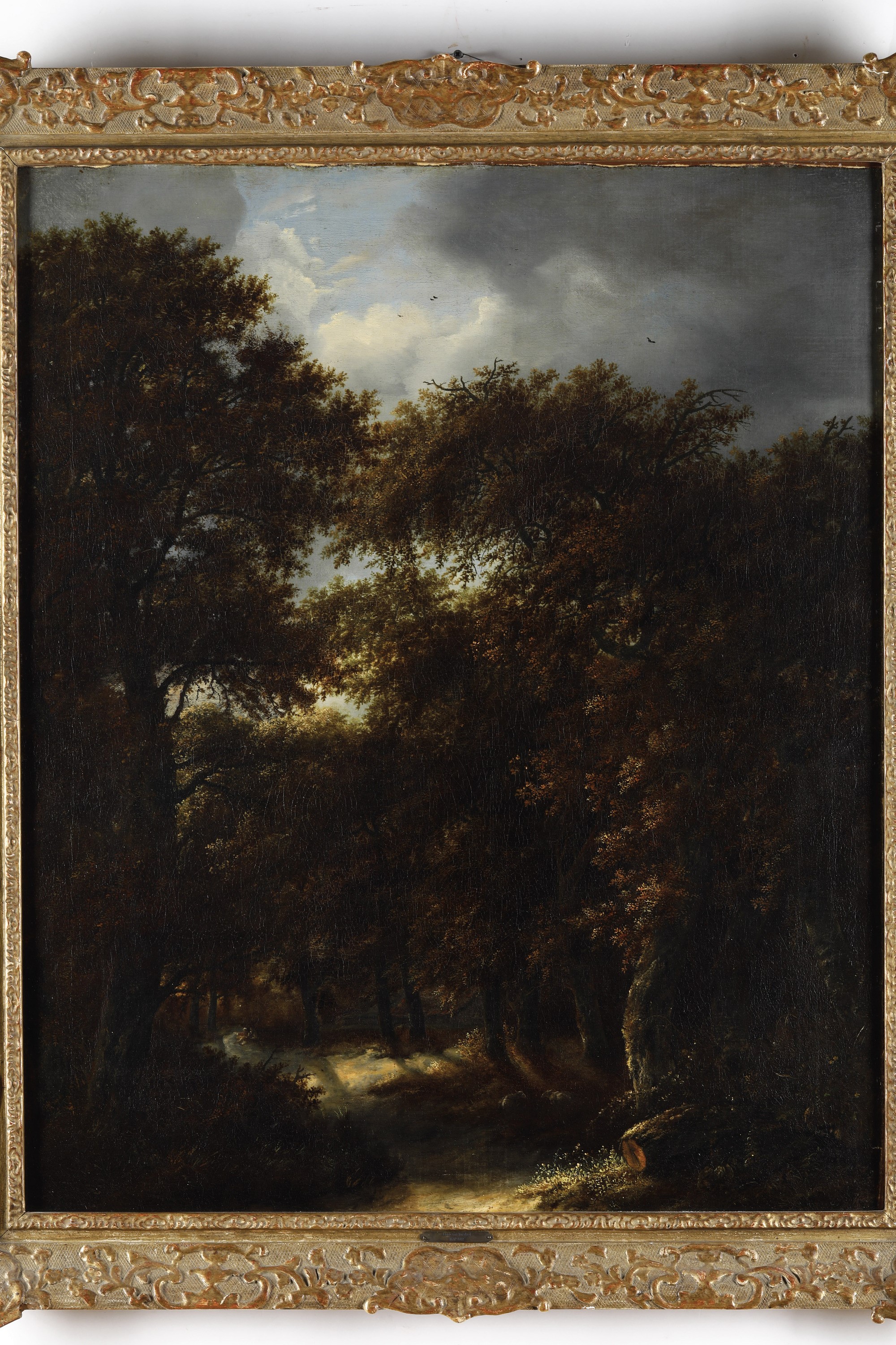 Jacob Izaaksoon Van Ruisdael - Paesaggio Boschivo