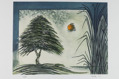 Albero e Canne