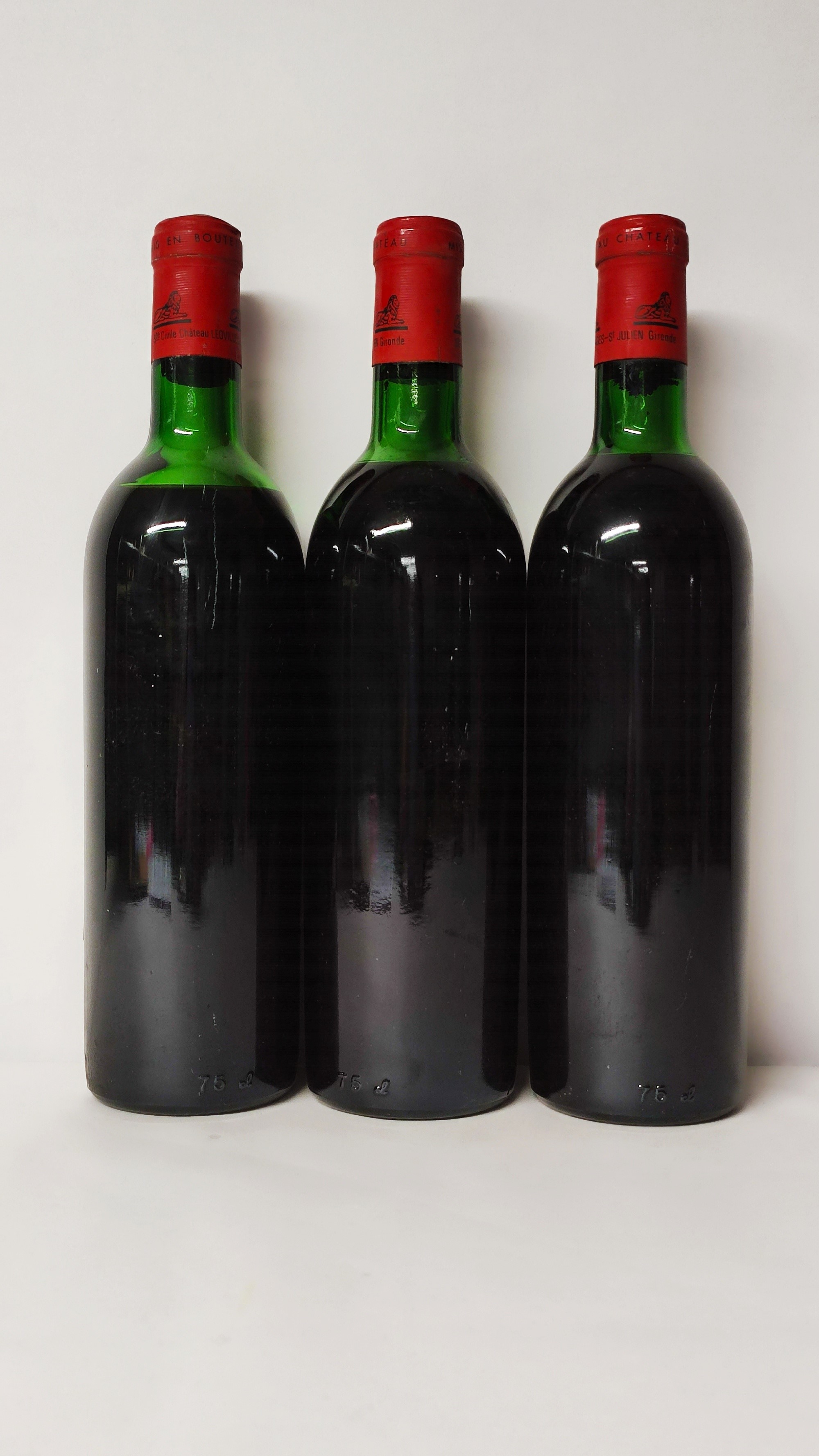 Saint Julien Medoc, 1973