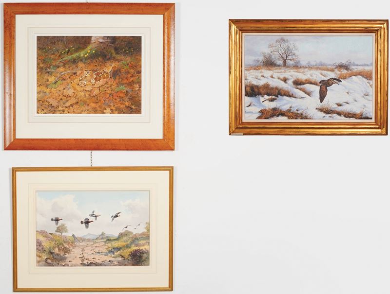 Lotto di tre acquerelli raffiguranti anatre e beccacce  - Asta Antiquariato - Cambi Casa d'Aste