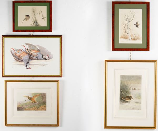 Cinque stampe e acquerelli con soggetti di caccia, XX secolo