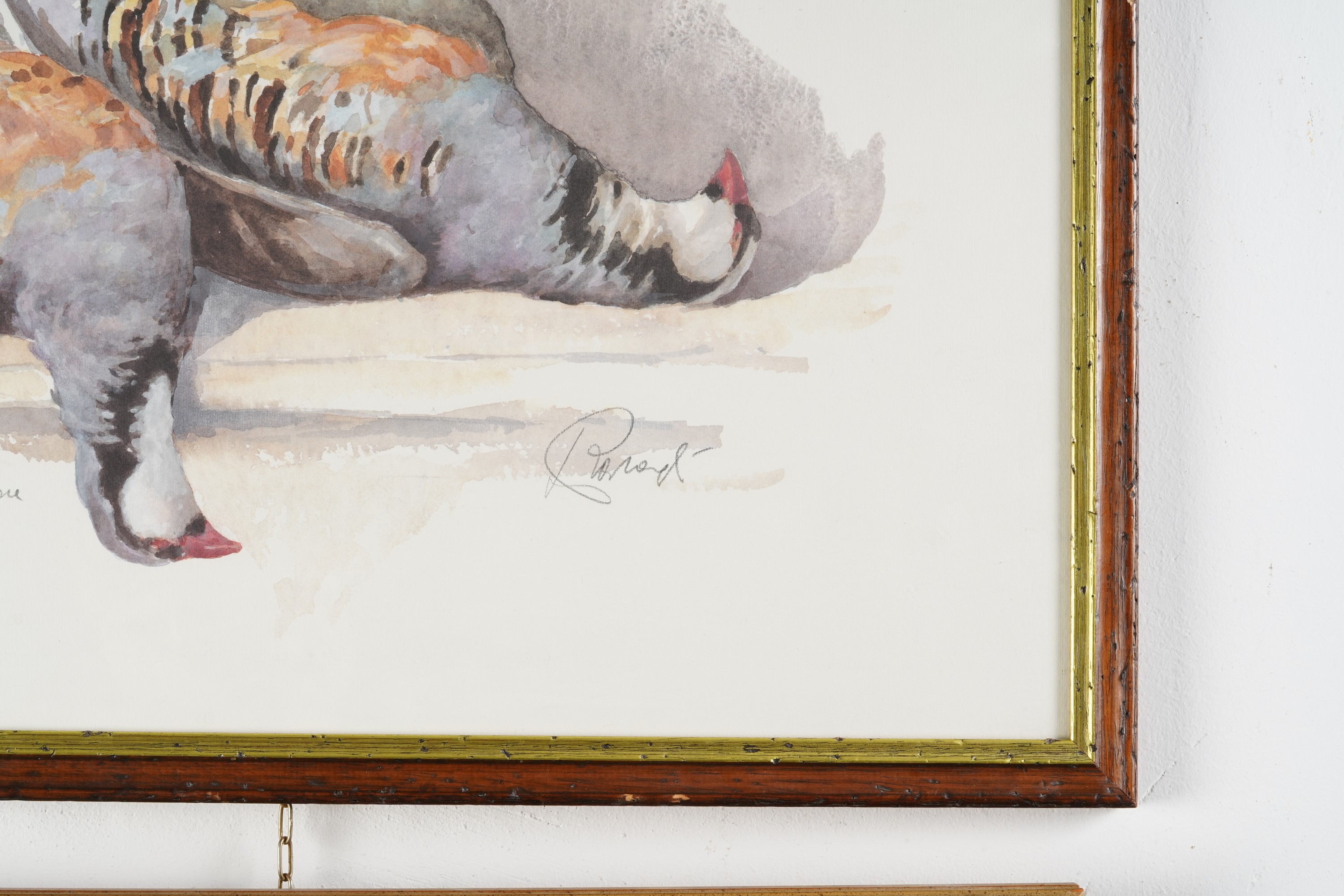 Cinque Stampe e Acquerelli con Soggetti di Caccia, XX Secolo