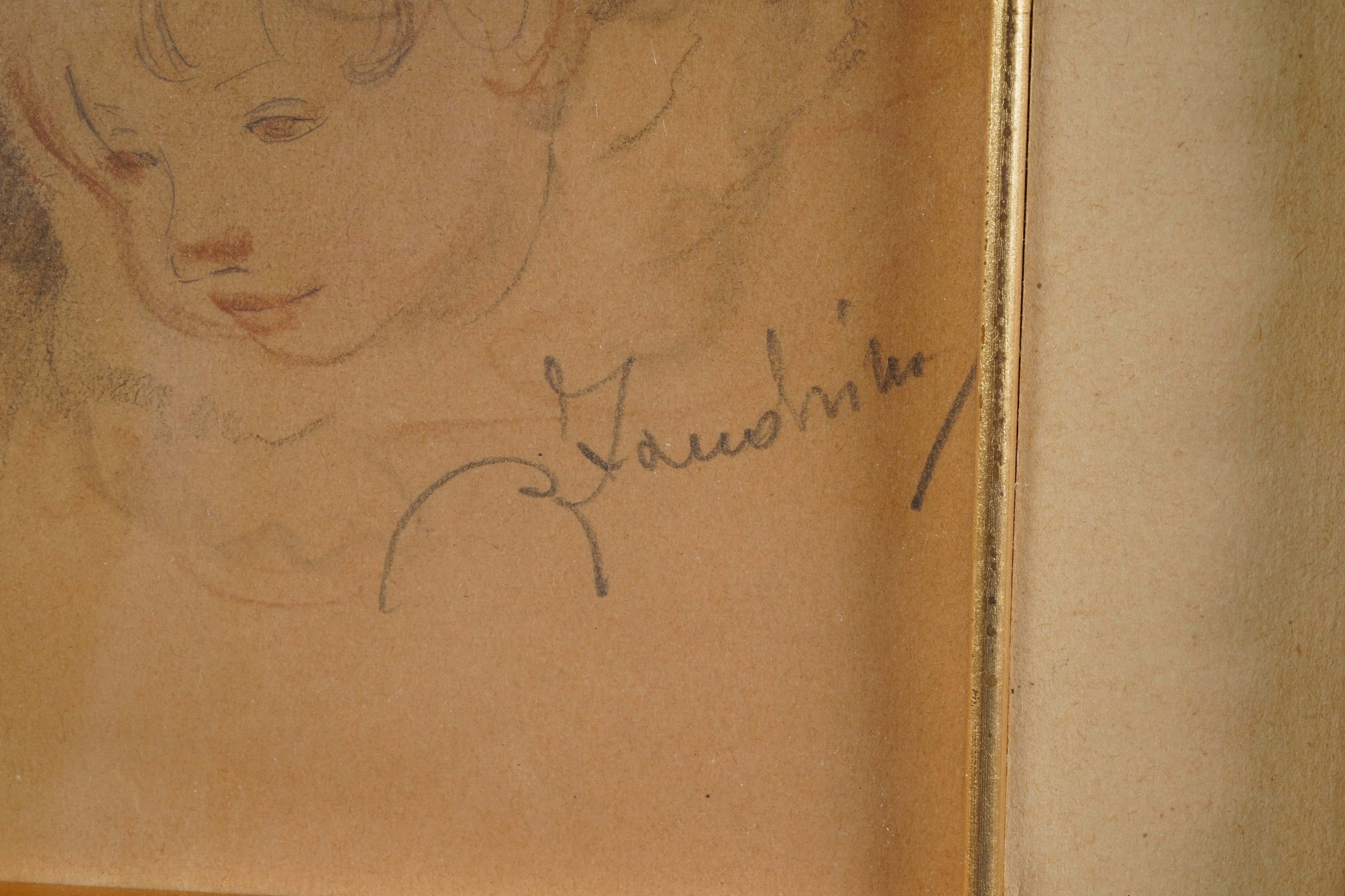 Adelina Zandrino - Teste di Cherubini
