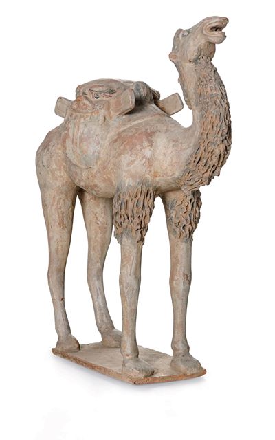 Grande Figura di Cammello in Terracotta con Tracce di Policromia, Cina, Dinastia Tang (618-906)