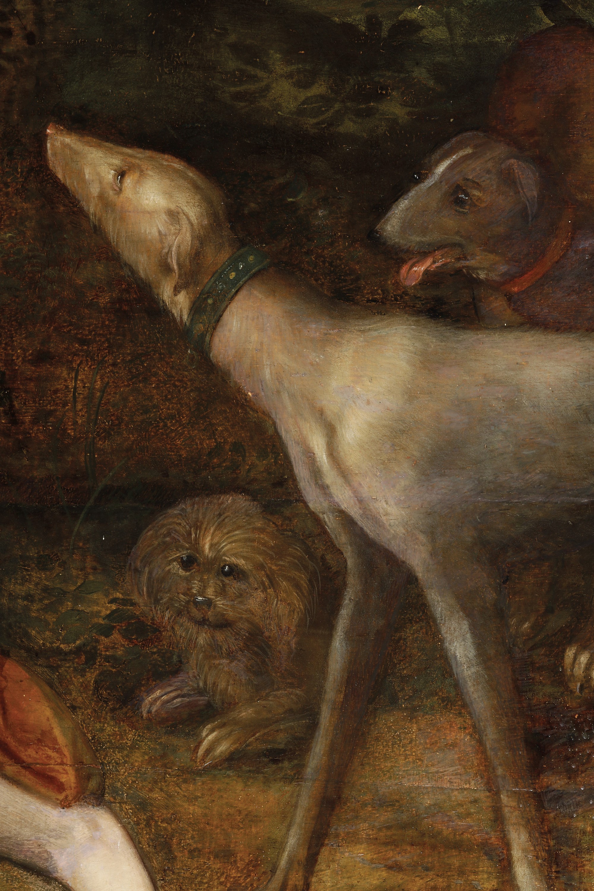 Frans Floris - Cefalo e Procri