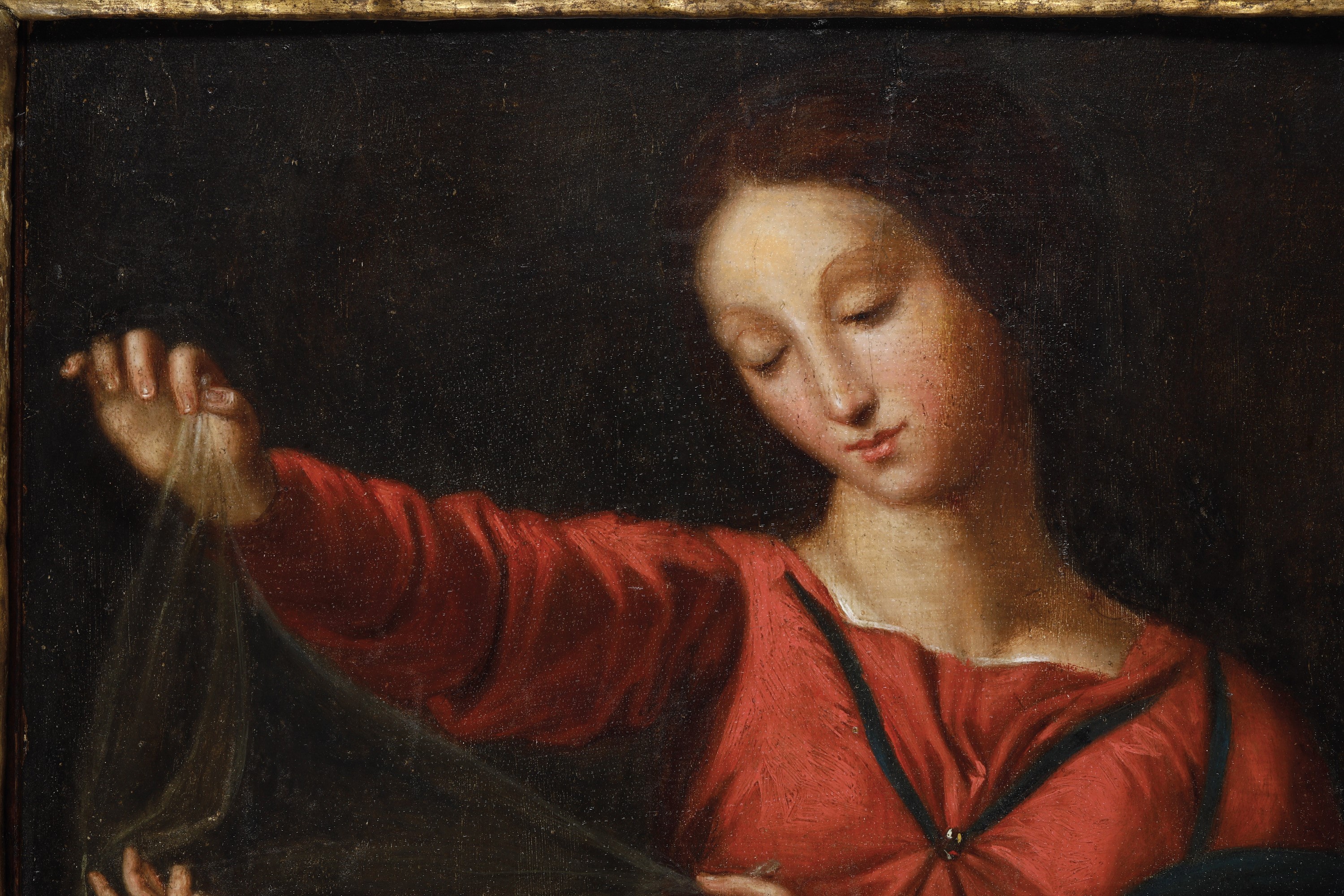Raffaello Sanzio - Madonna del Velo