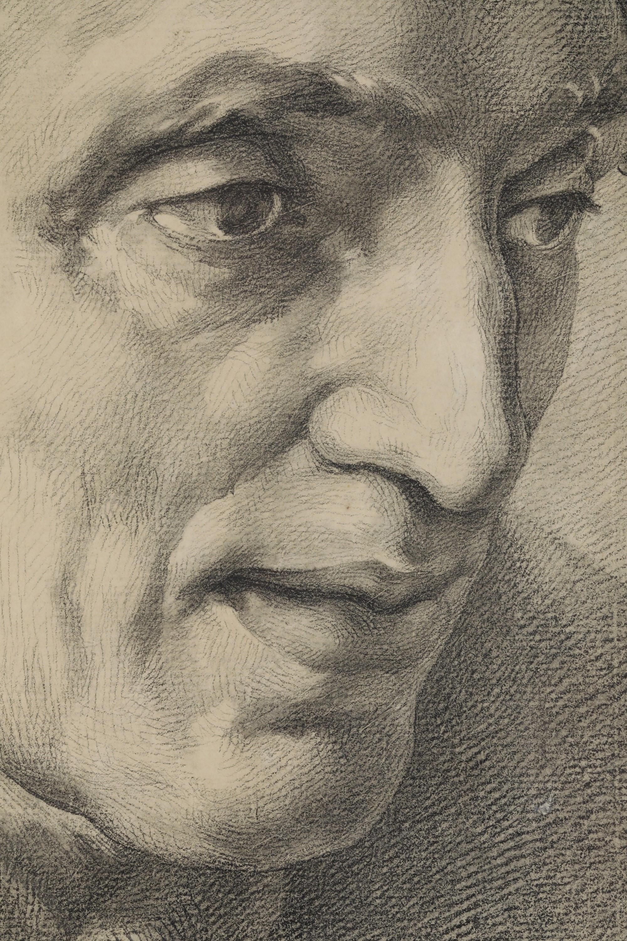 Vincenzo Camuccini - Ritratto di papa Pio VII, matita nera su carta