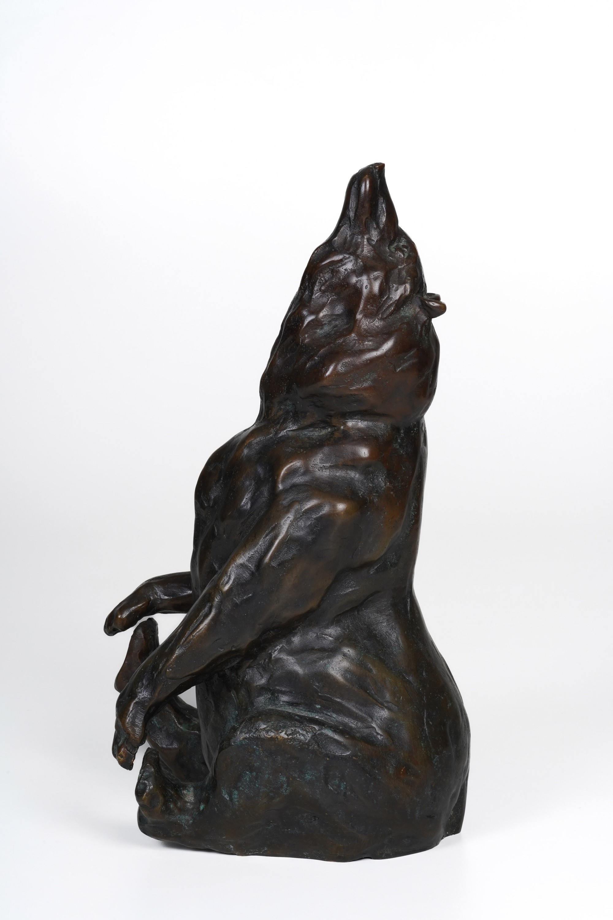 Scultura Raffigurante Orso in Bronzo. Non Firmata, Fonditore del XX Secolo