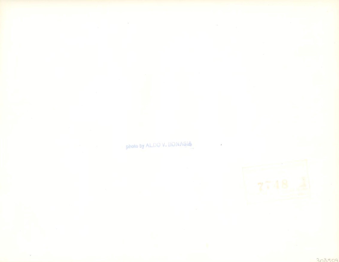 Aldo Vito Bonasia - Senza Titolo (look This Is a Wall)