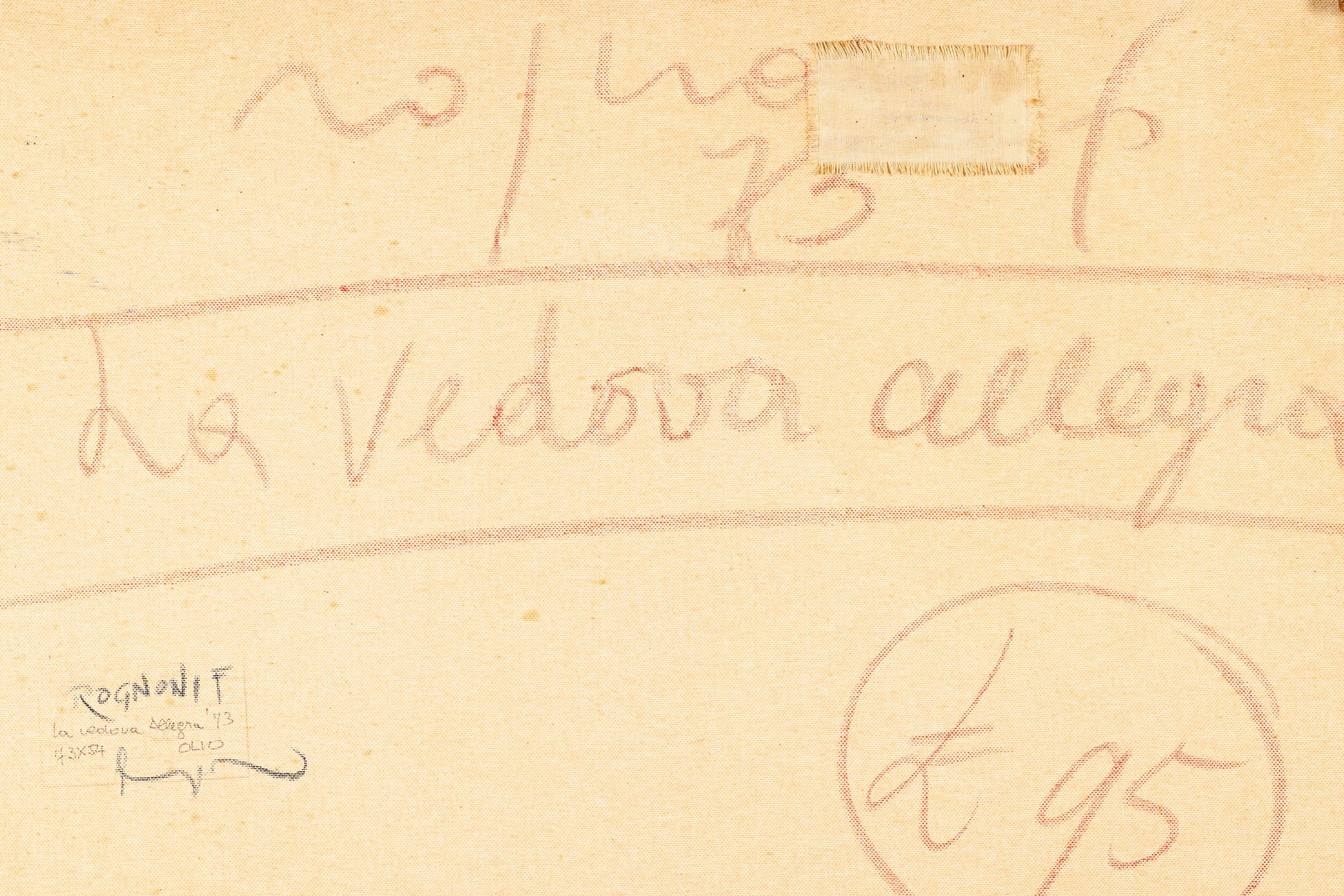 Franco Rognoni - La Vedova Allegra