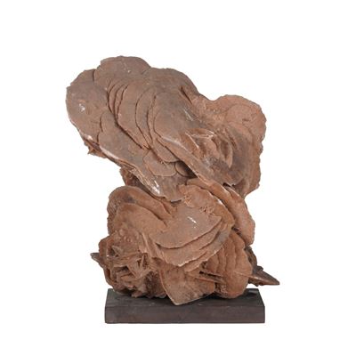 Grande Rosa del Deserto