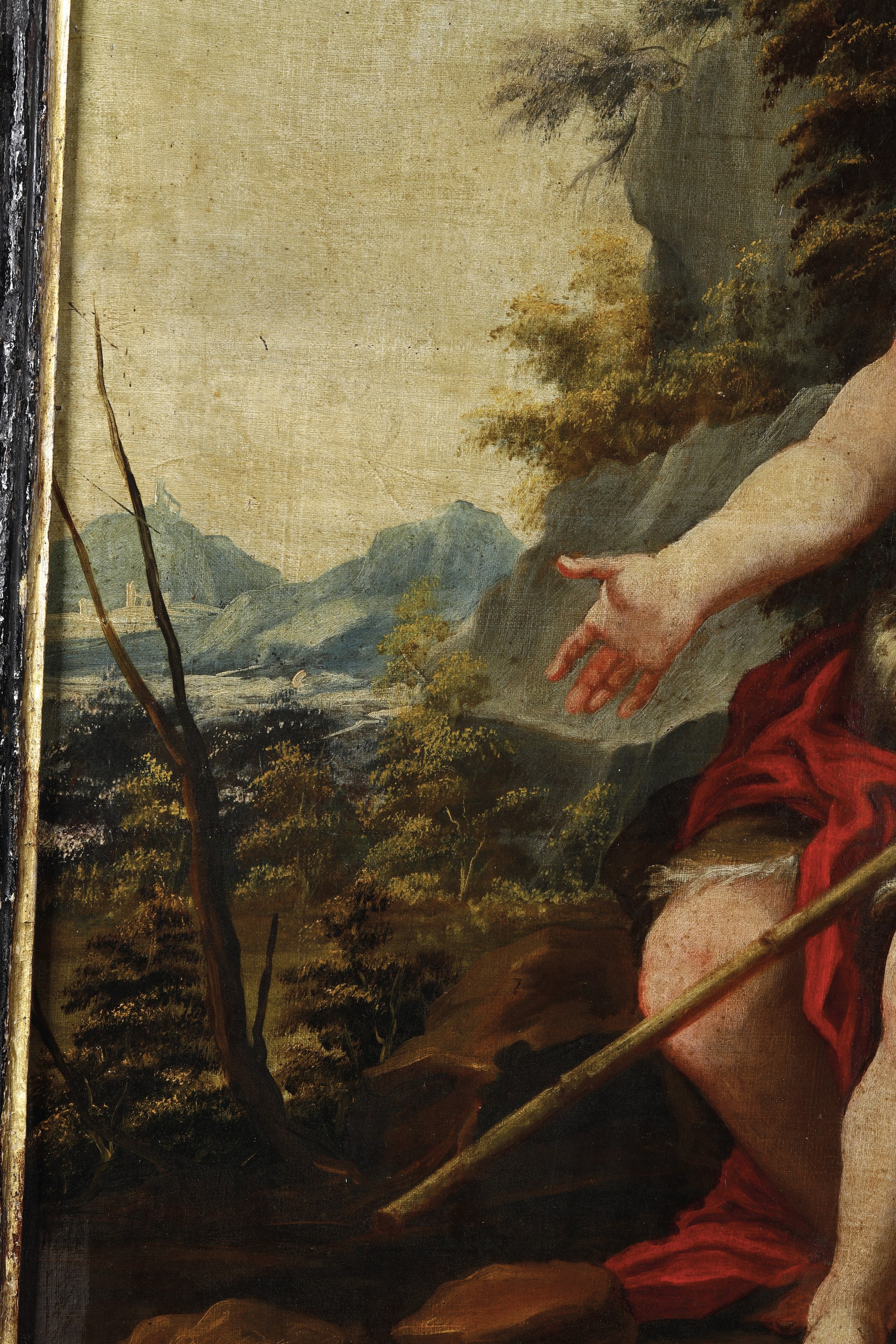 Scuola Fiamminga del XVII Secolo San Giovannino