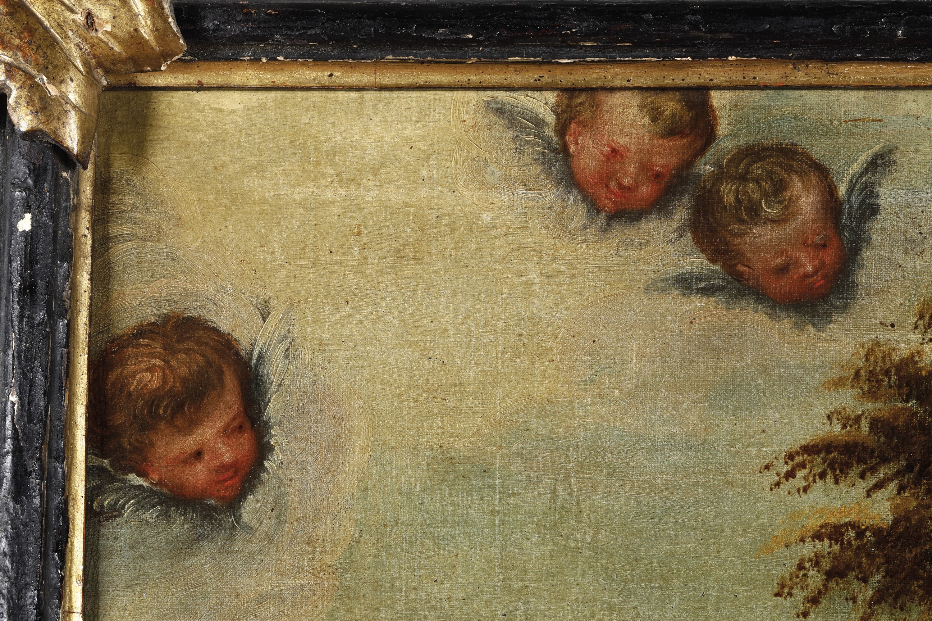 Scuola Fiamminga del XVII Secolo San Giovannino