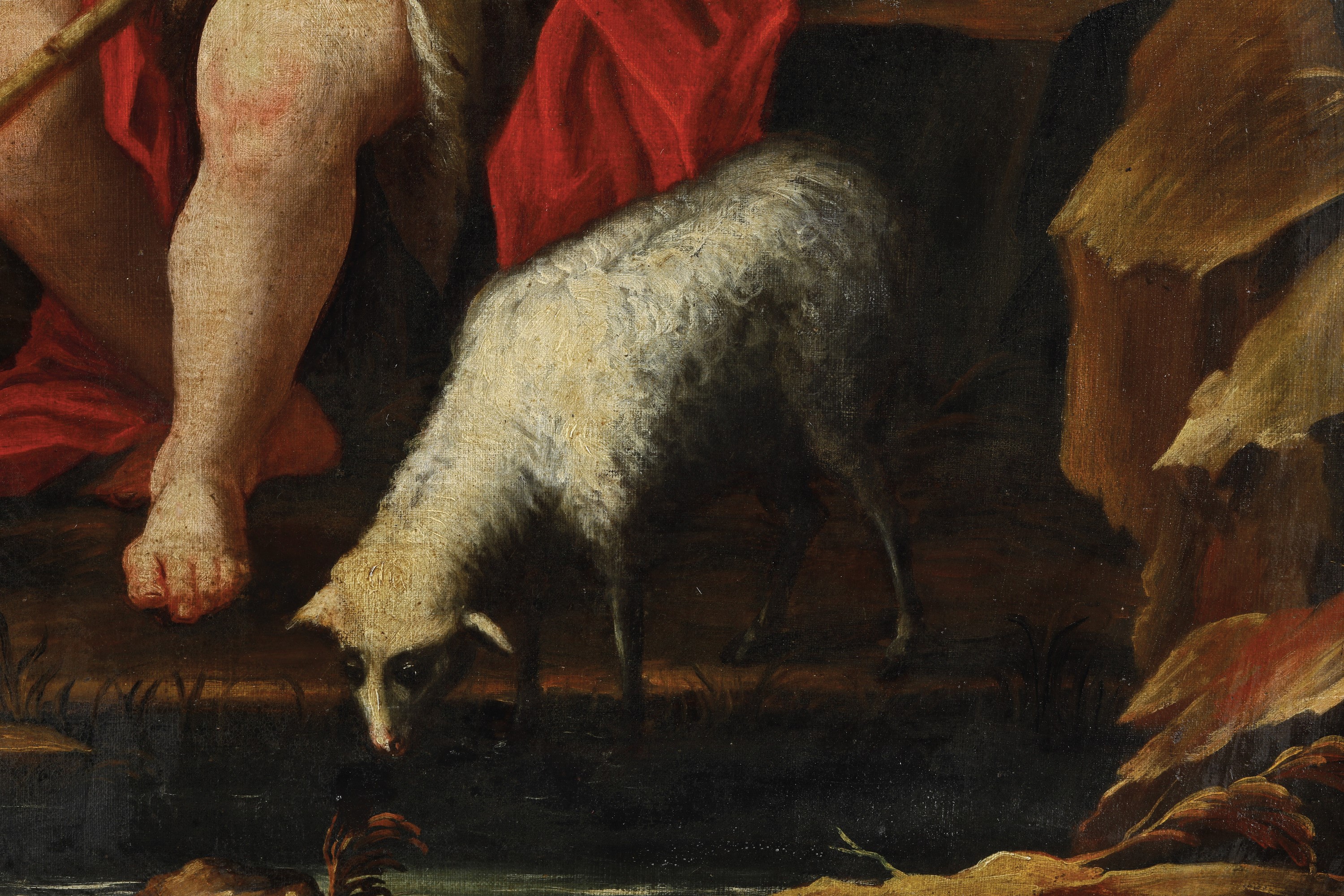 Scuola Fiamminga del XVII Secolo San Giovannino