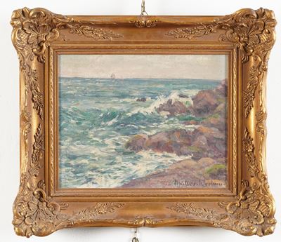 Nervi