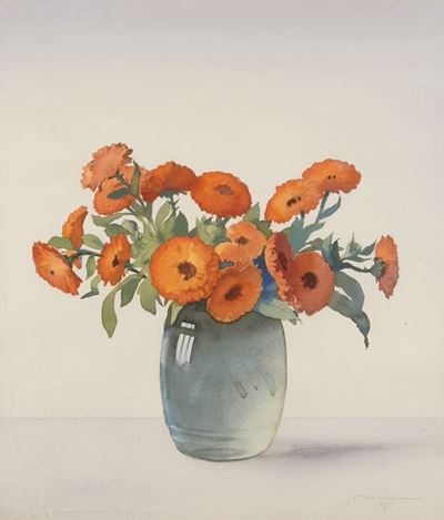 Nikulin Calendule