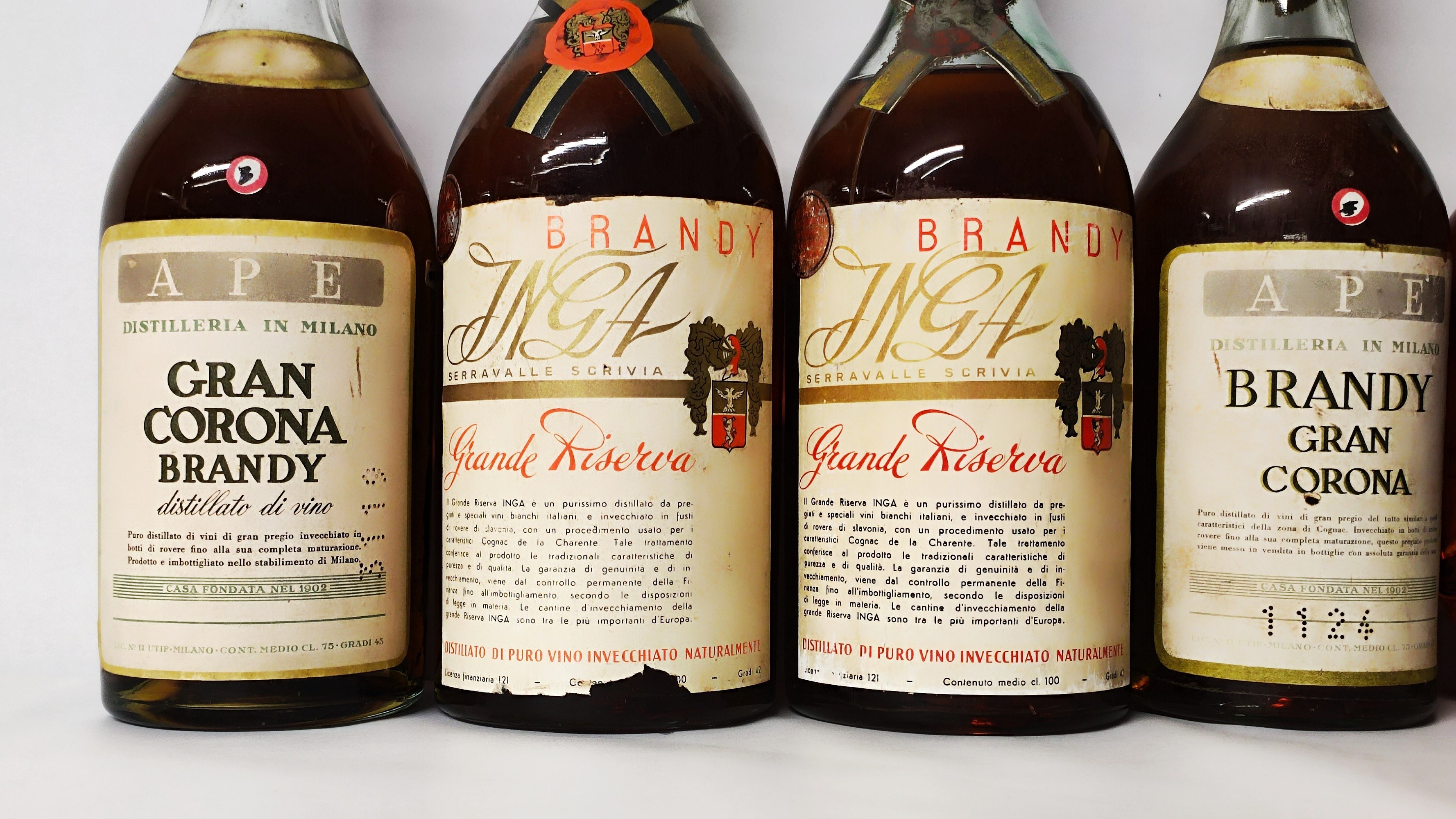 Inga, Ape, Lorenz, Brandy