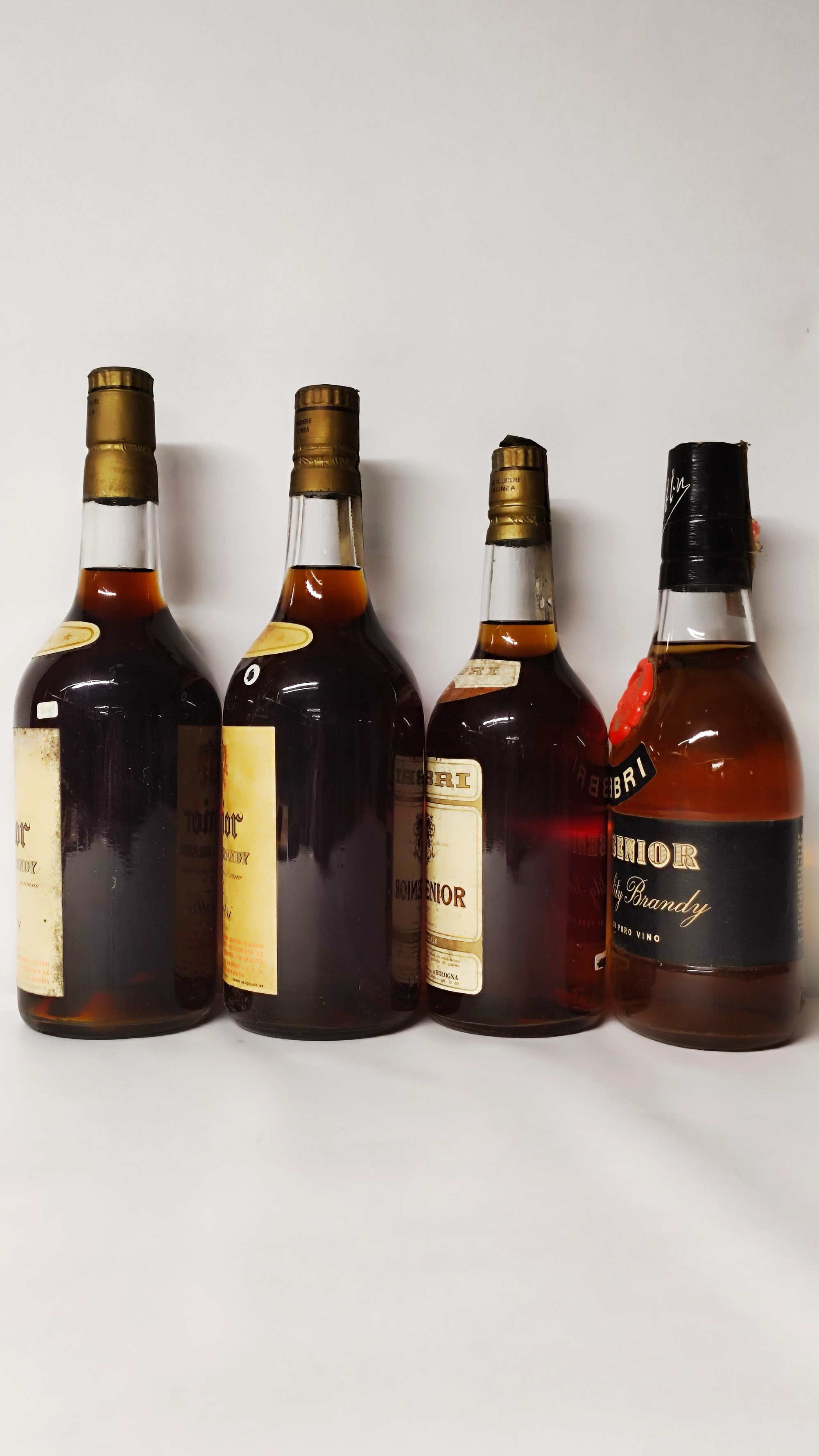 Fabbri Senior, Brandy
