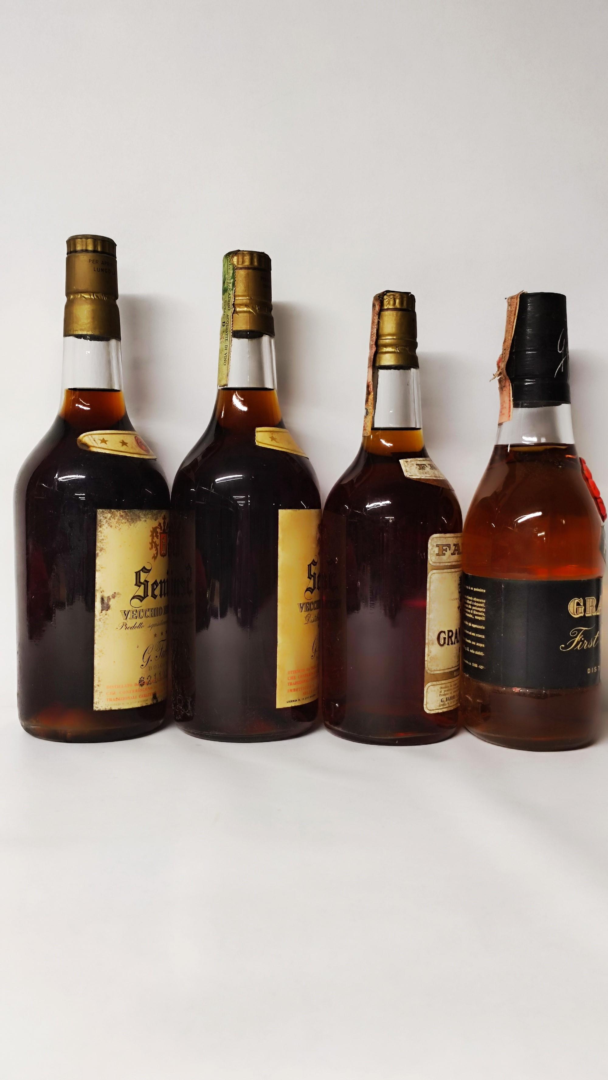 Fabbri Senior, Brandy