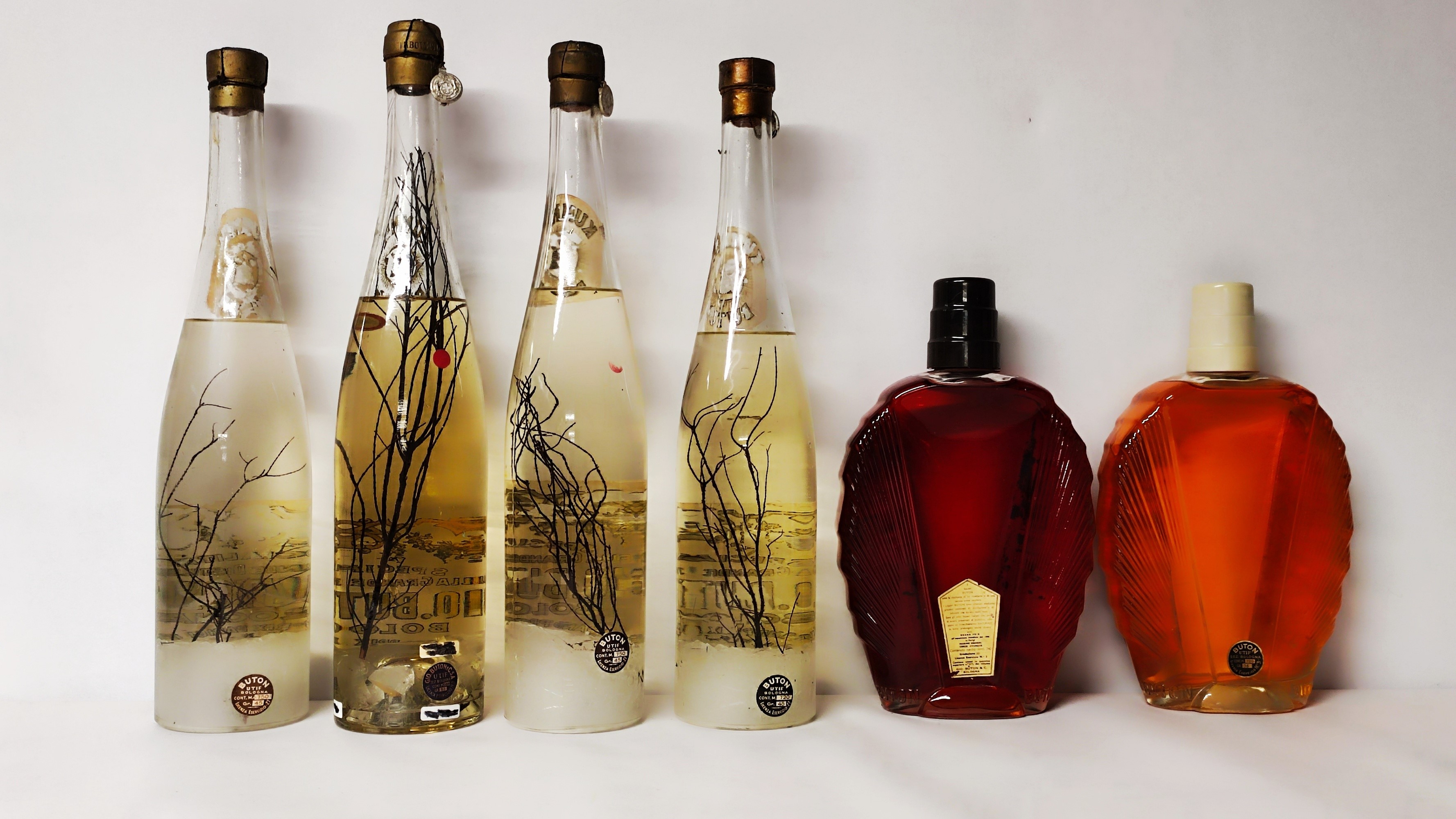 Buton, Kummel, Mandarino, Curacao, Liquori
