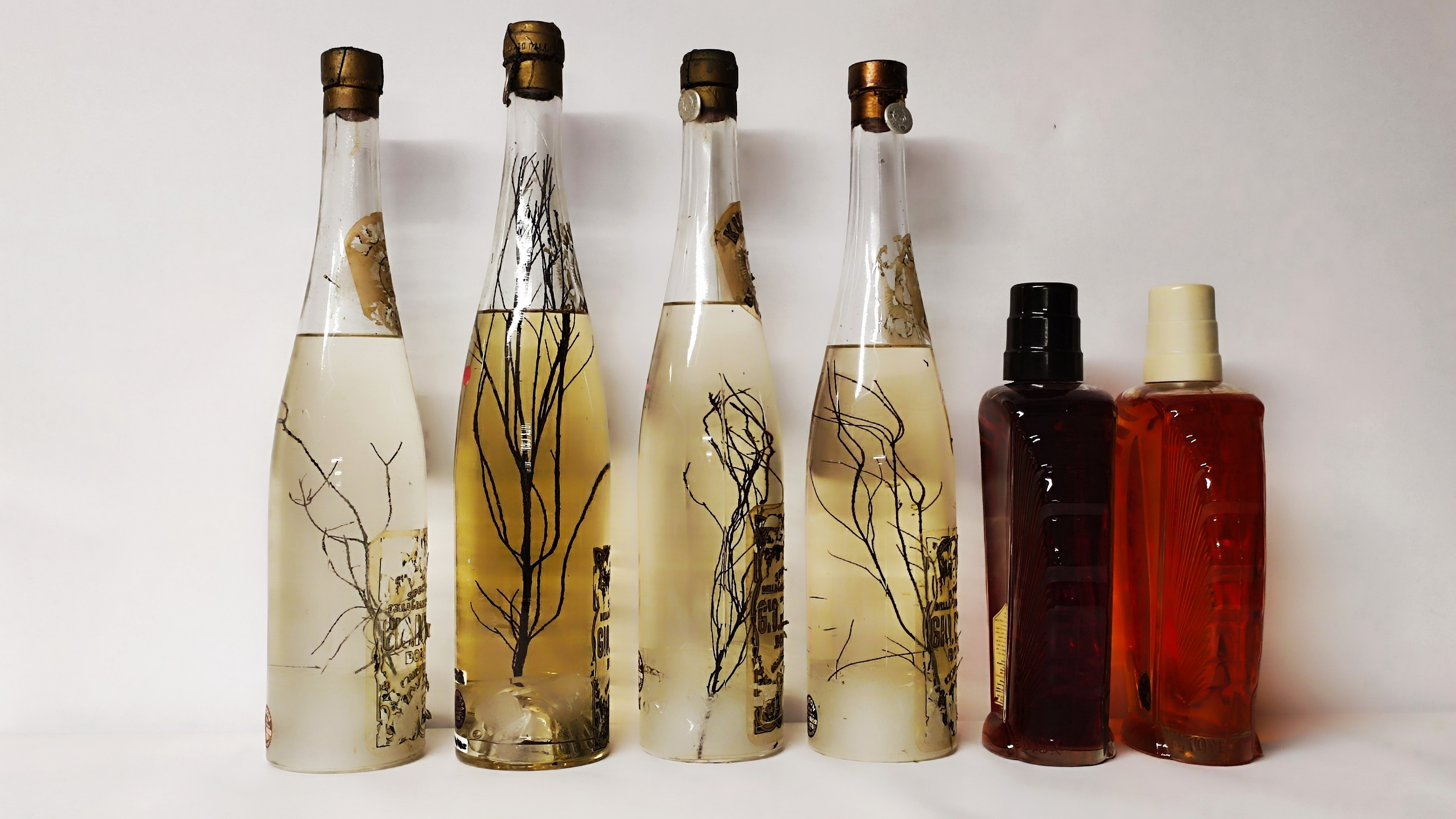 Buton, Kummel, Mandarino, Curacao, Liquori