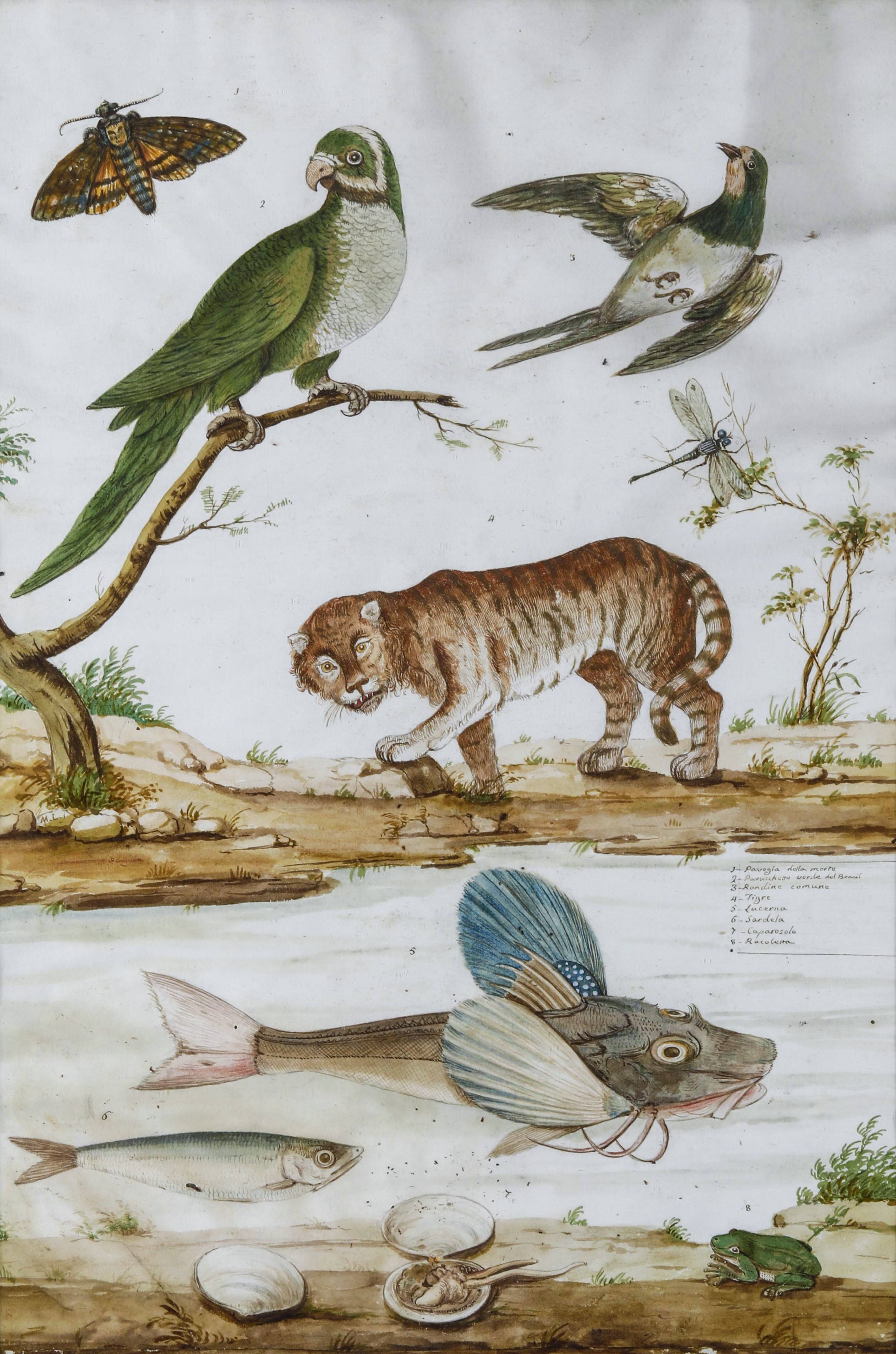 Scuola del XVII Secolo Soggetti Naturalistici