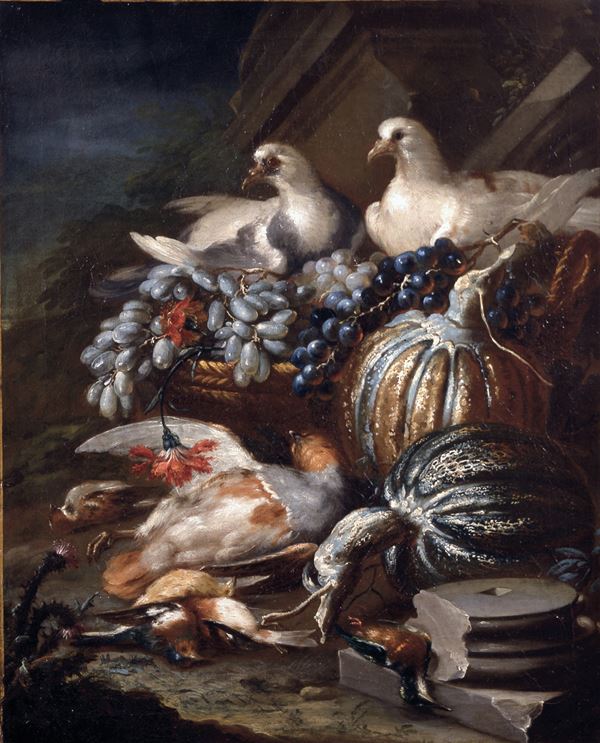 Jacob van der Kerckhoven - Natura morta con zucche e colombe